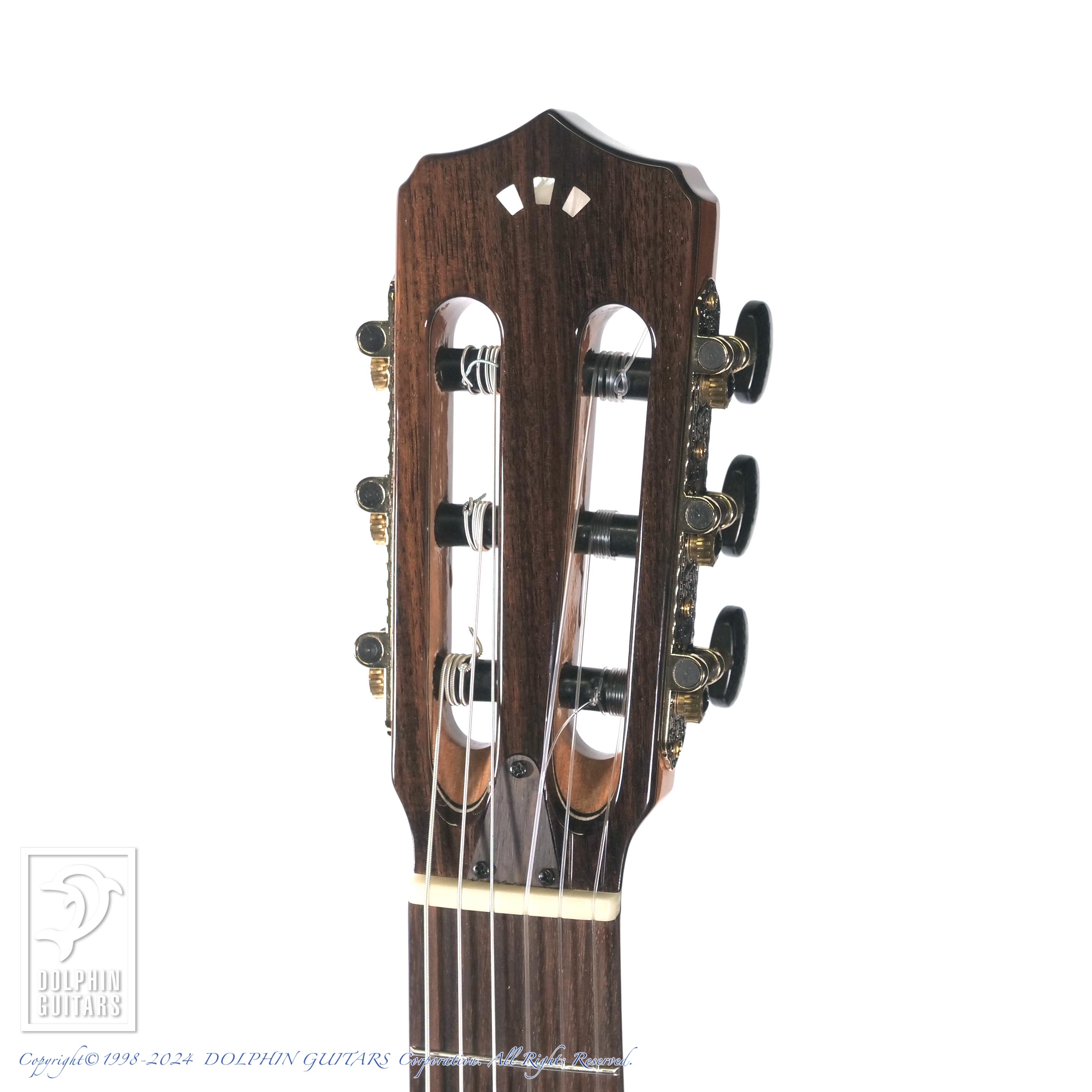 CORDOBA STAGE GUITAR (GARNET)|ドルフィンギターズ