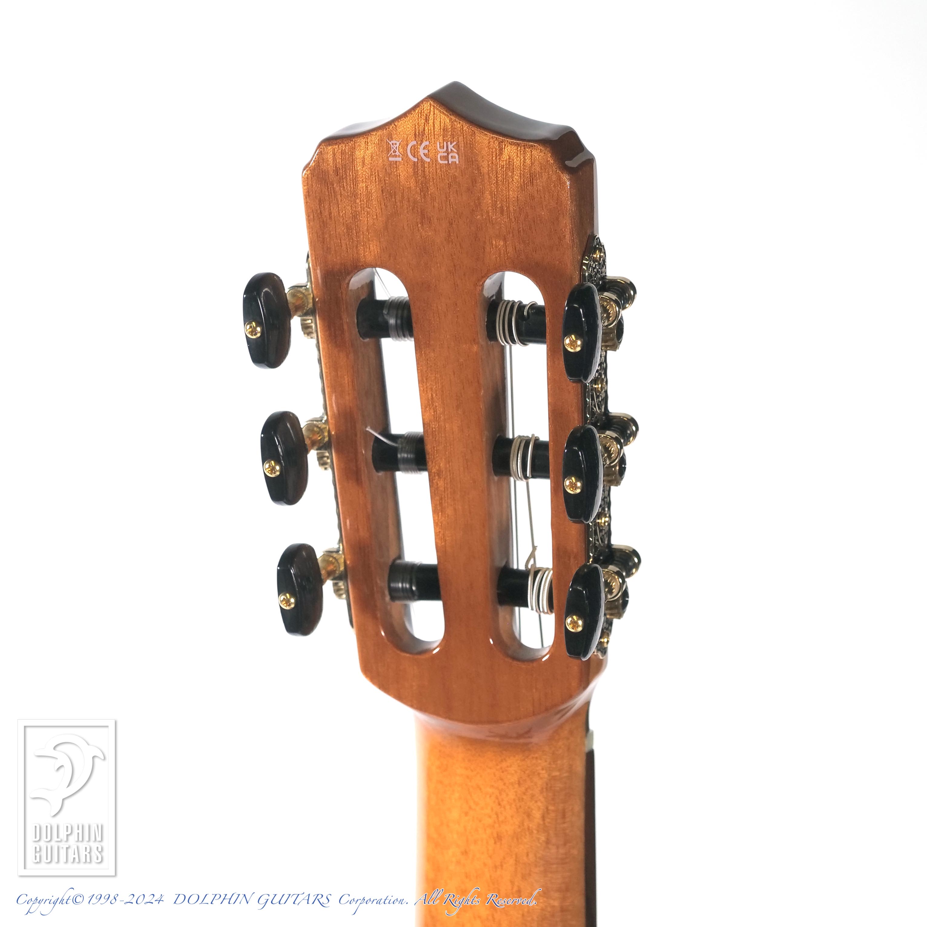 CORDOBA STAGE GUITAR (GARNET)|ドルフィンギターズ