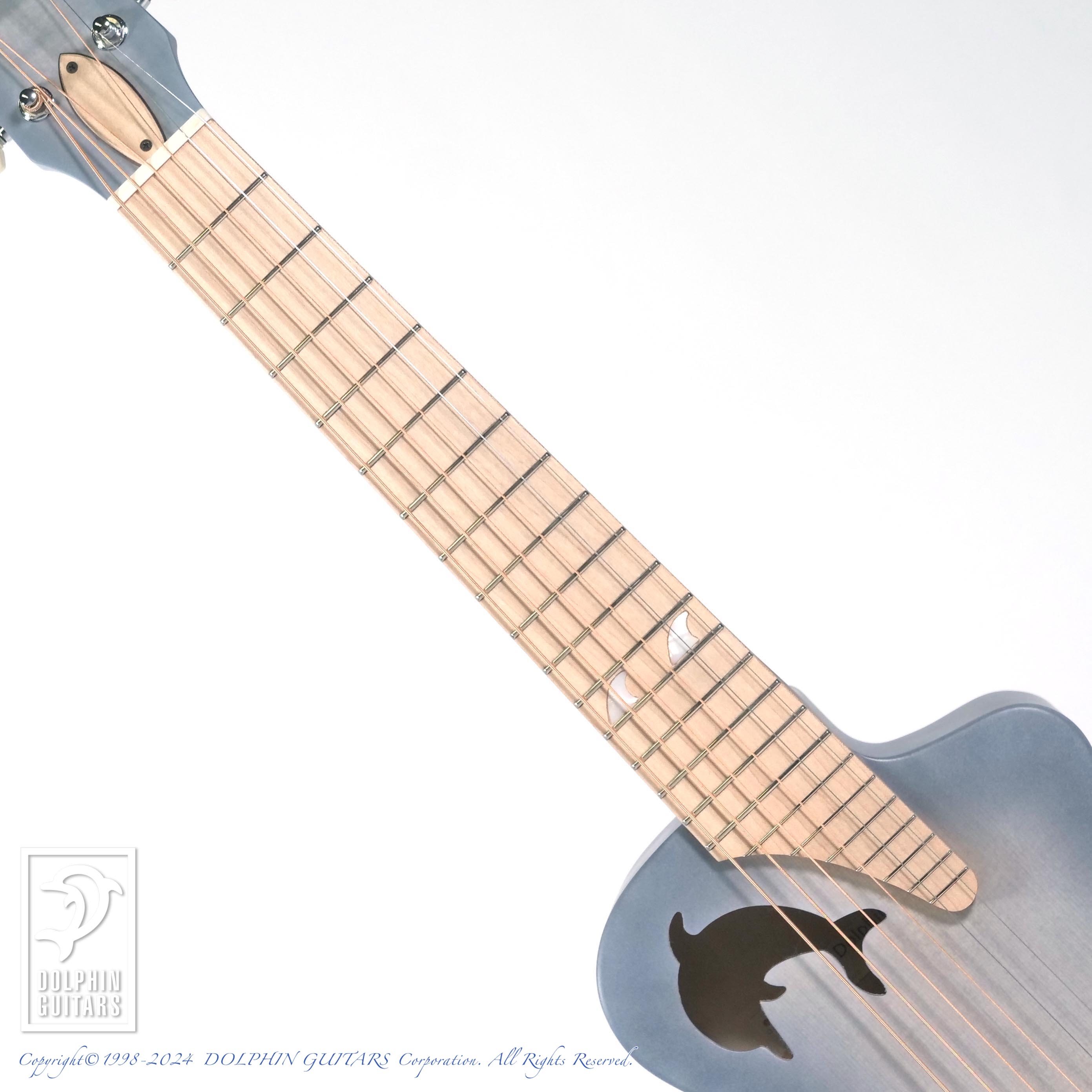 Dolphin Guitars Baby Dolphin Beluga (Real Dolphin LTD)|ドルフィン