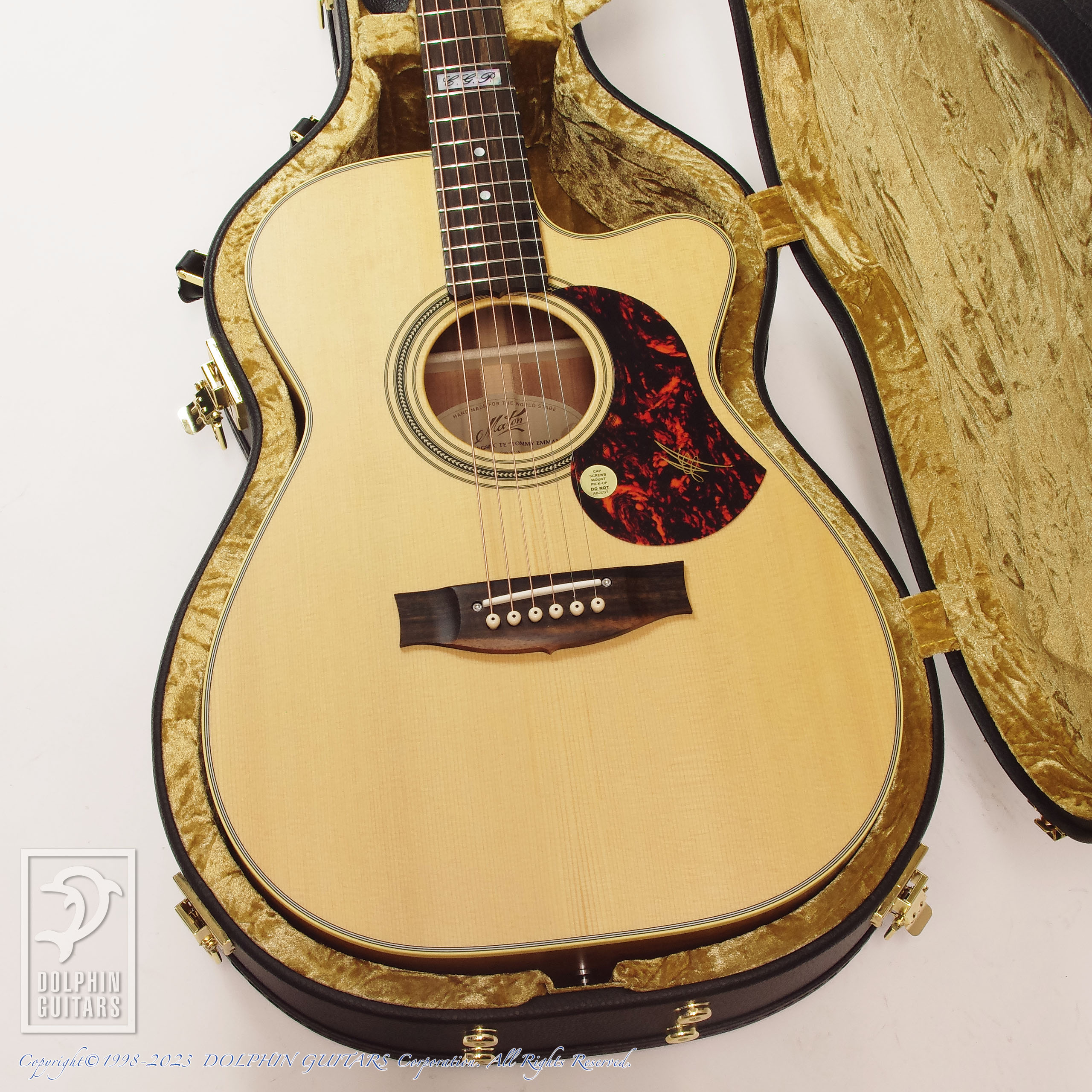 MATON EBG808C TE (Tommy Emmanuel Signature)|ドルフィンギターズ