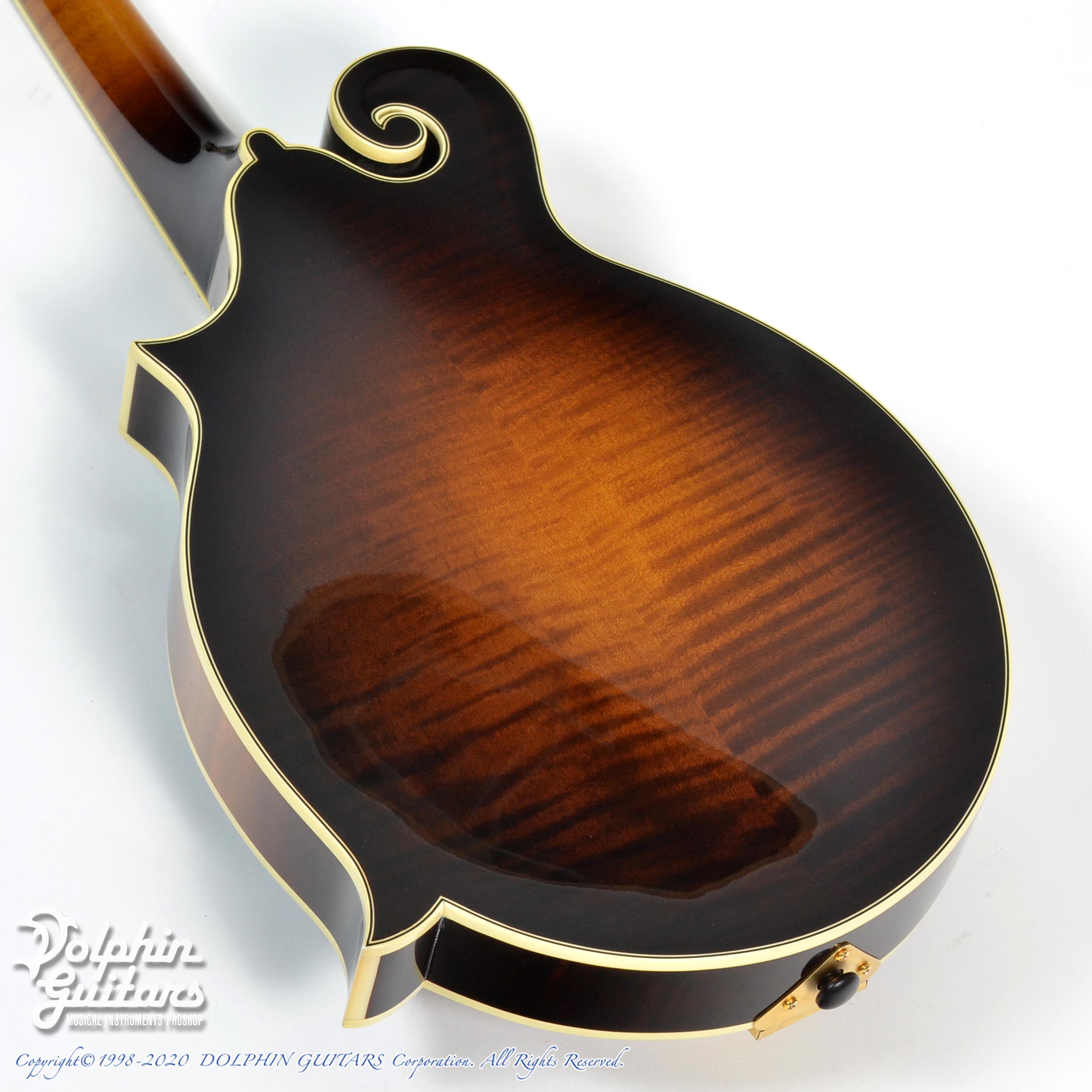 Gibson F-5 Sam Bush|ドルフィンギターズ