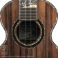 Dolphin Guitars 25th Anniversary Concert Ukulele12