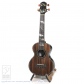 Dolphin Guitars 25th Anniversary Concert Ukulele0