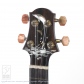 Dolphin Guitars 25th Anniversary Concert Ukulele6