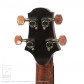 Dolphin Guitars 25th Anniversary Concert Ukulele7