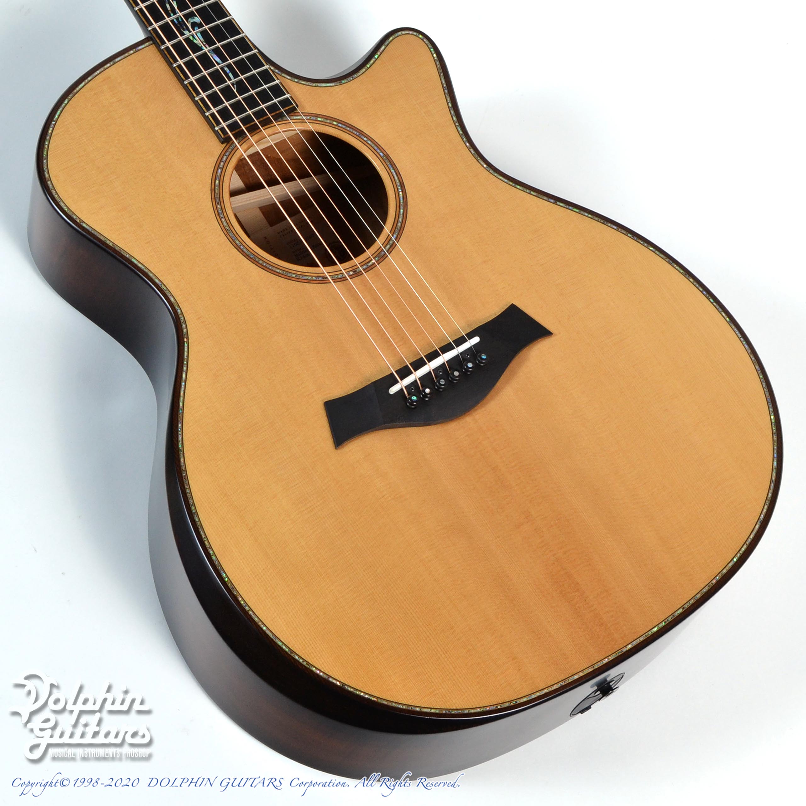Taylor Builder S Edition K14ce V Class ドルフィンギターズ