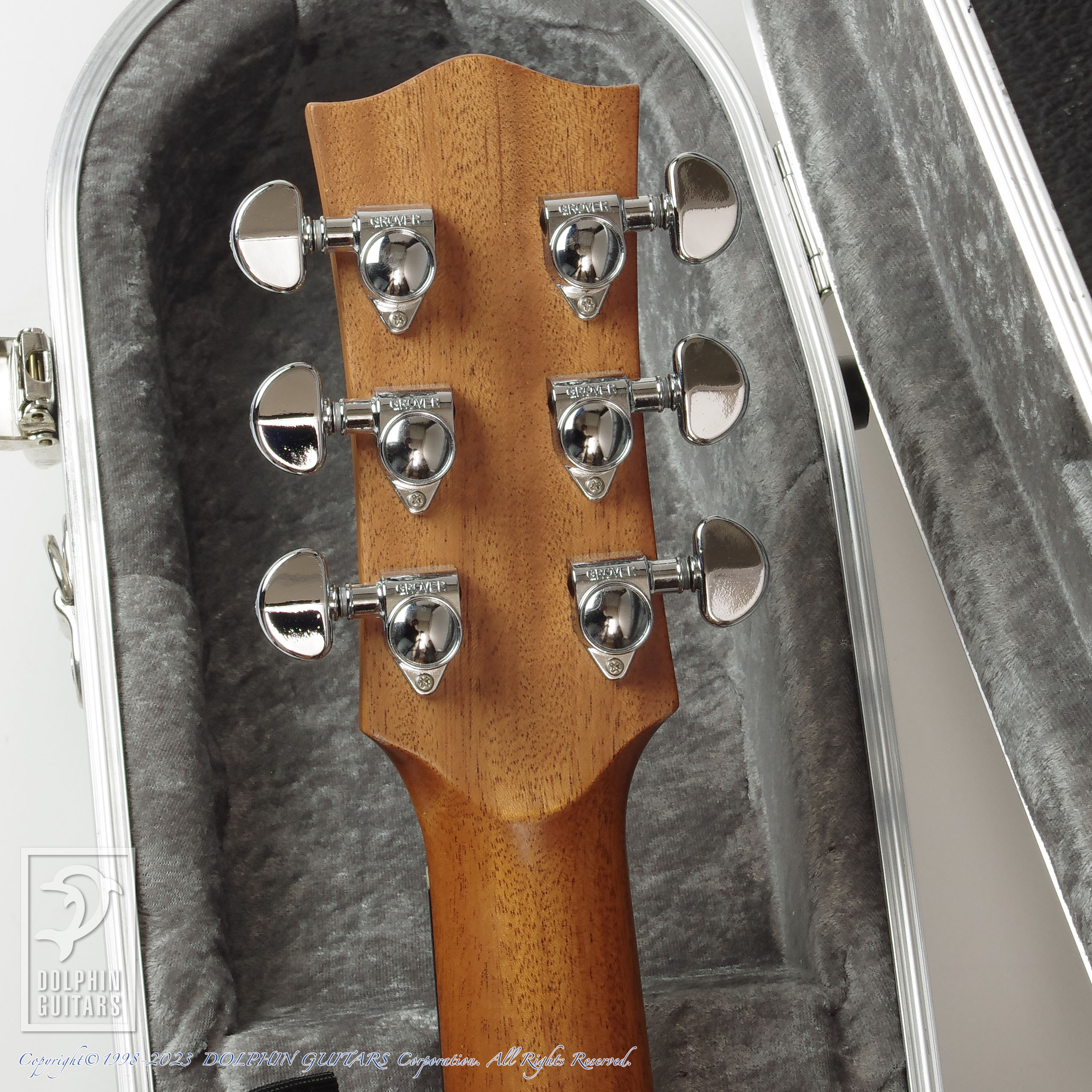 MATON Custom Shop EBG808 (Brazilian Mahogany)|ドルフィンギターズ