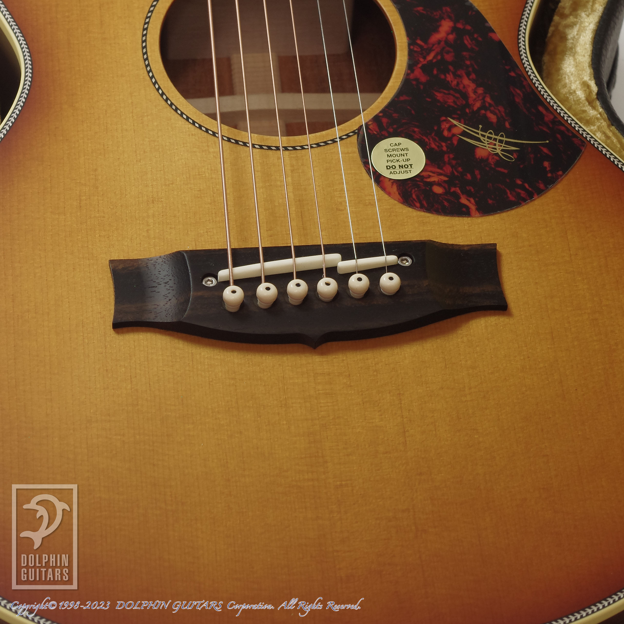 MATON EMD6 (Mini Maton Diesel Special)|ドルフィンギターズ