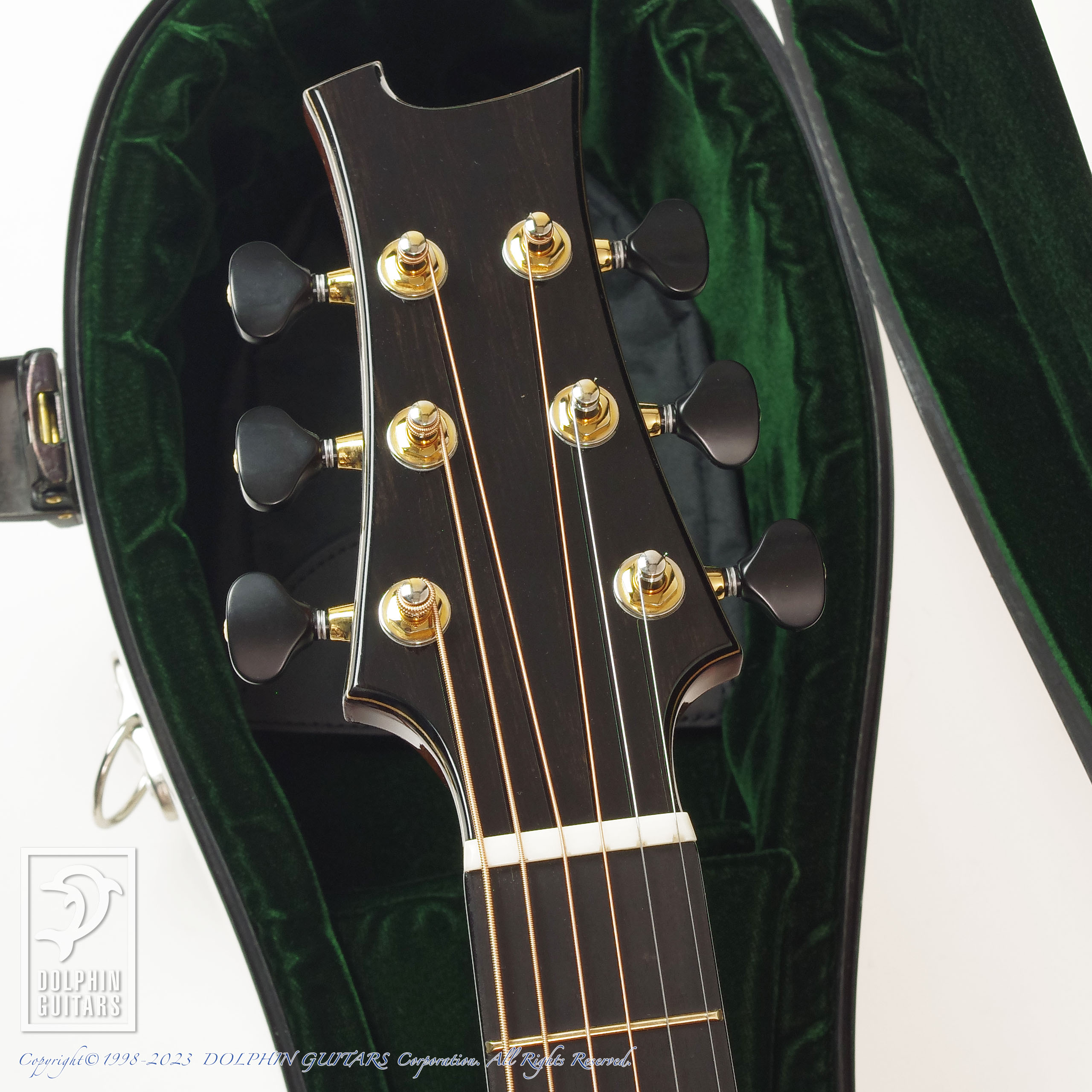 Casey Guitars Studio Dreadnought (Malaysian Blackwood) ドルフィンギターズ