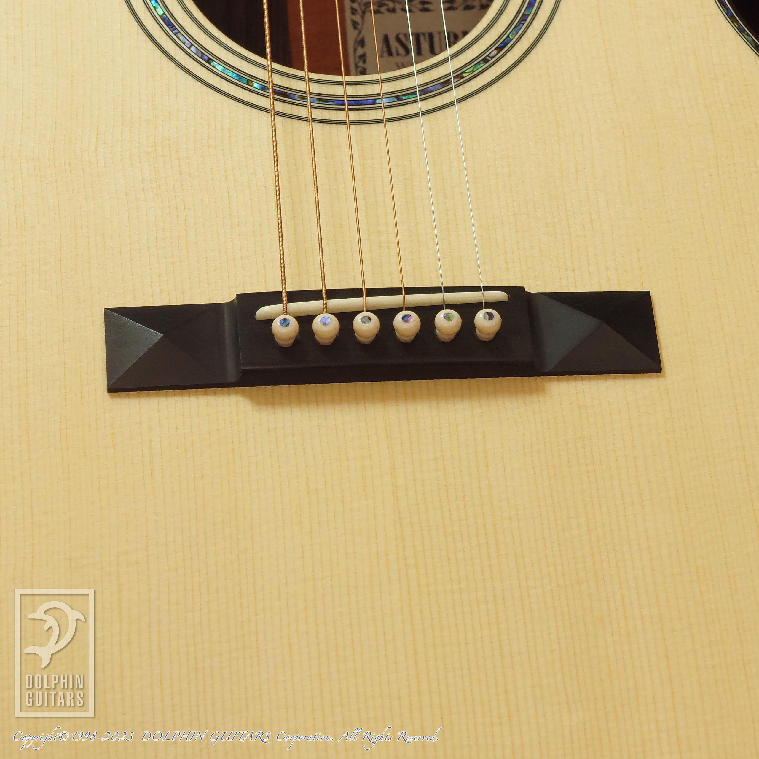 ASTURIAS Solo Premium 25th Limited Edition|ドルフィンギターズ