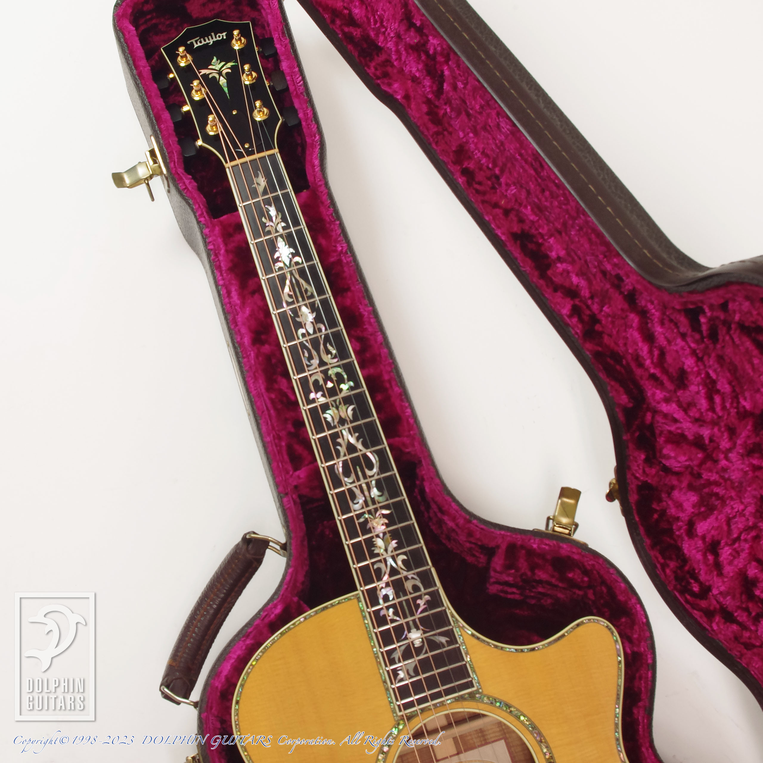 アコースティックギター　taylor アコースティックギター】テイラーのモデル番号を解読せよ