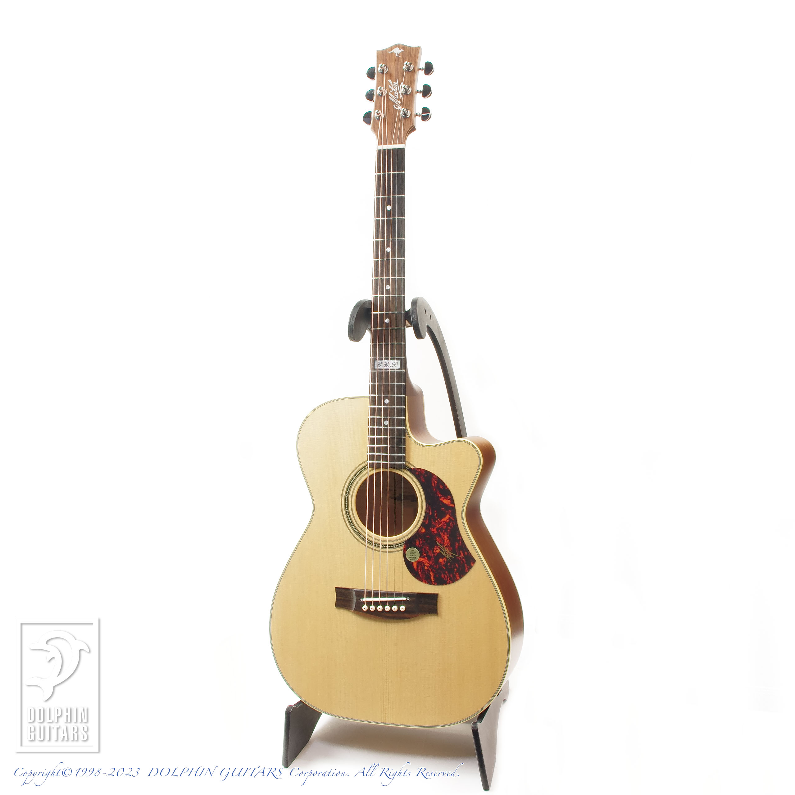 MATON EBG808C TE (Tommy Emmanuel Signature)|ドルフィンギターズ