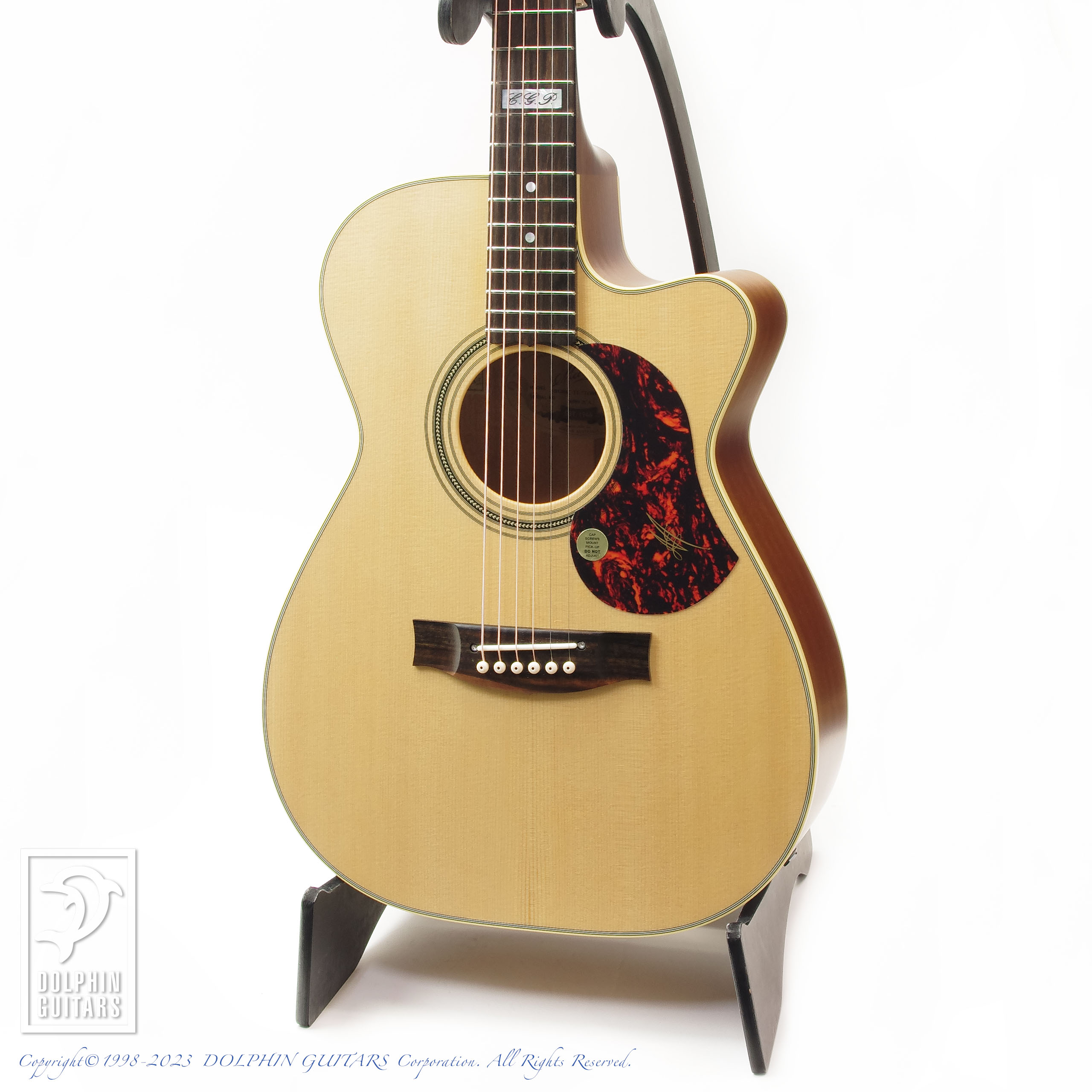 MATON EBG808C TE (Tommy Emmanuel Signature)|ドルフィンギターズ