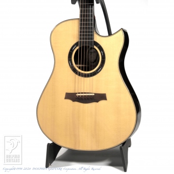 Mod-D Cutaway (Jacaranda)