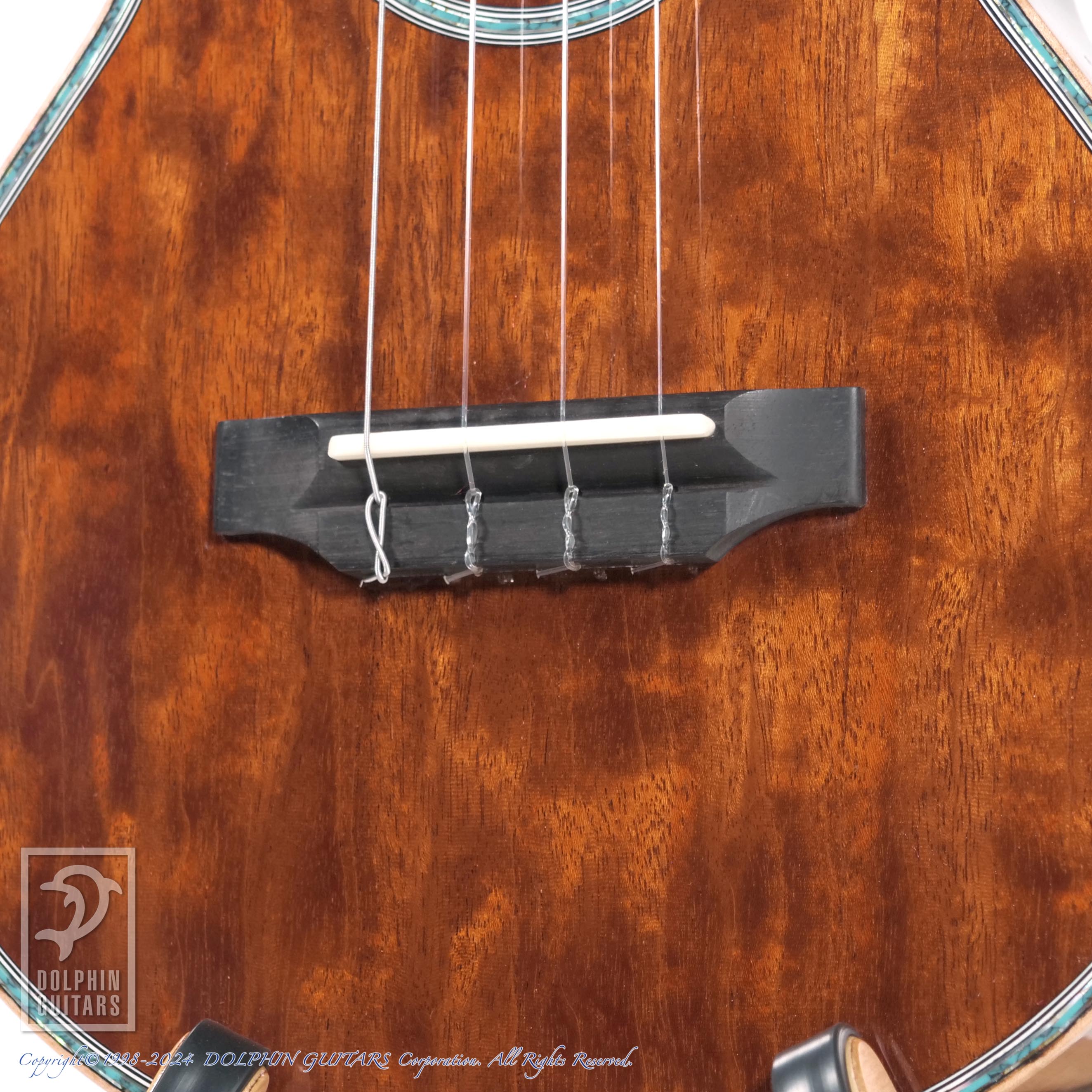 KAWAKAMI GUITARS NWUT-4 (ALL Flame Mahogany) - ドルフィンギターズ