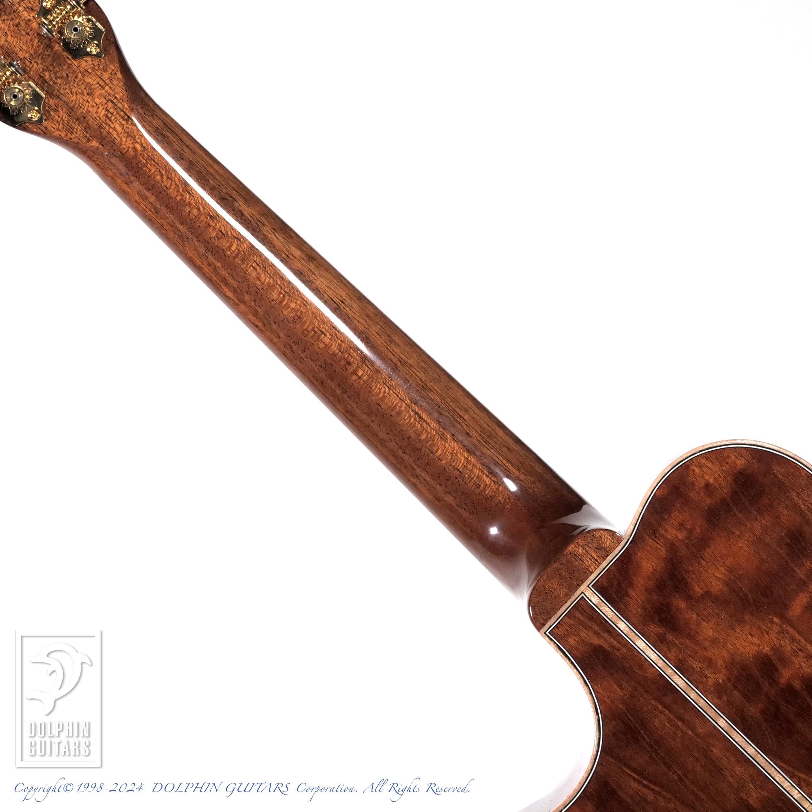 KAWAKAMI GUITARS NWUT-4 (ALL Flame Mahogany) - ドルフィンギターズ