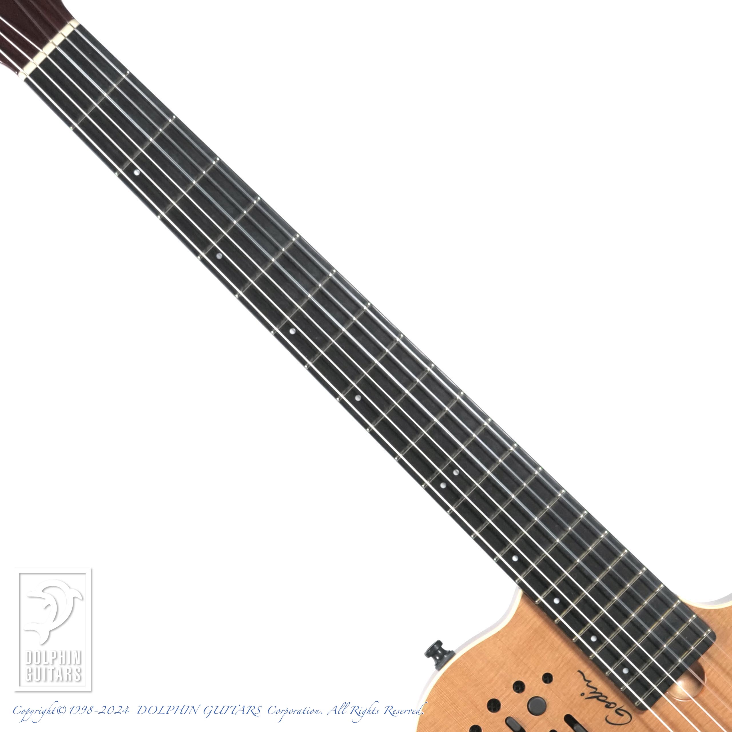 GODIN Multiac ACS Slim SA|ドルフィンギターズ