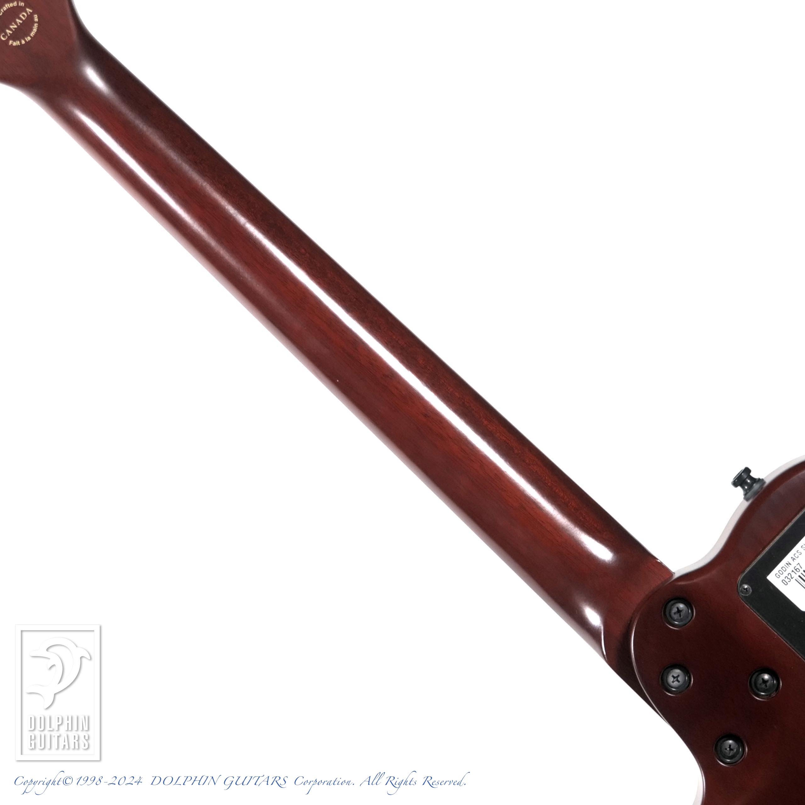 GODIN Multiac ACS Slim SA|ドルフィンギターズ