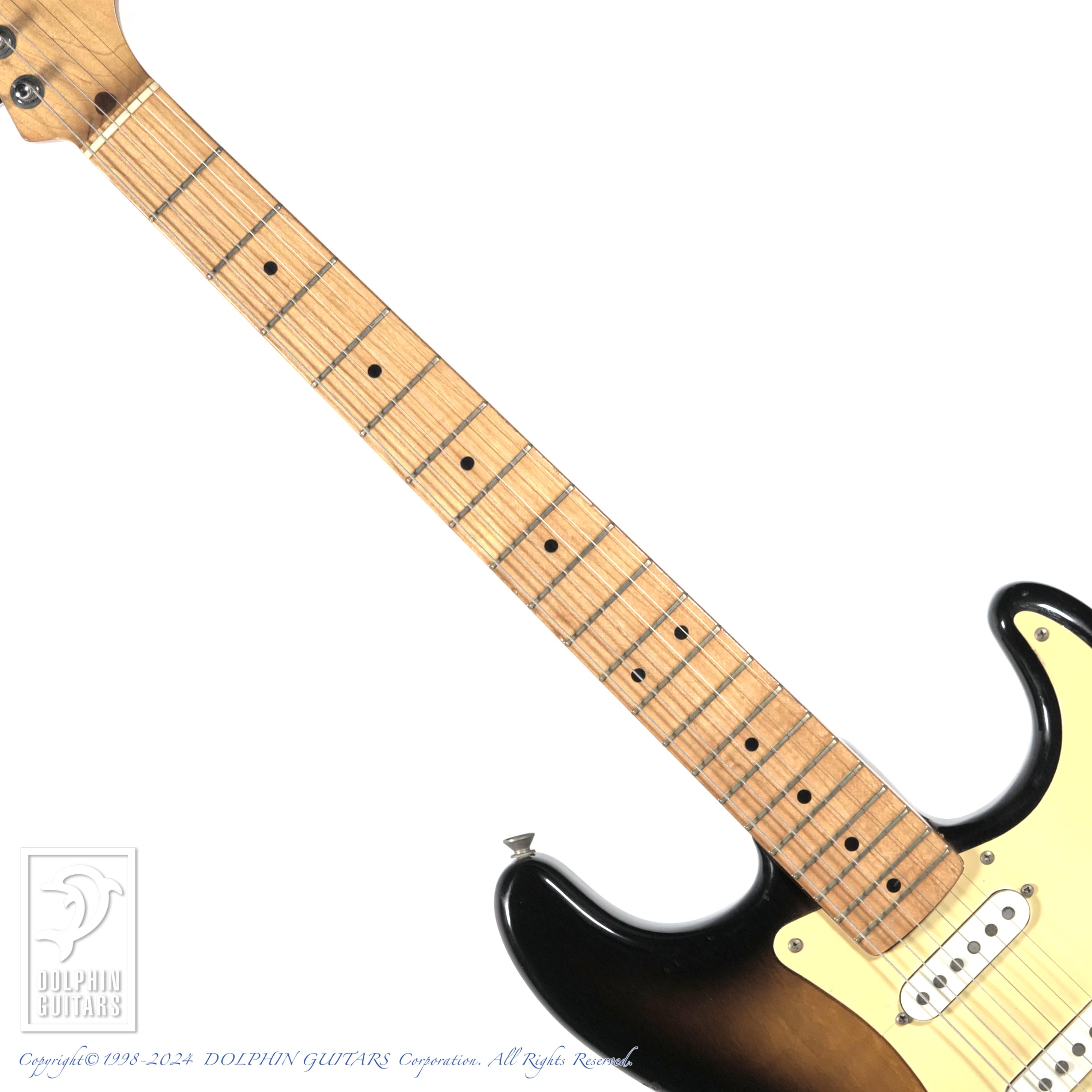 GRECO SE-800T SUPER SOUND|ドルフィンギターズ