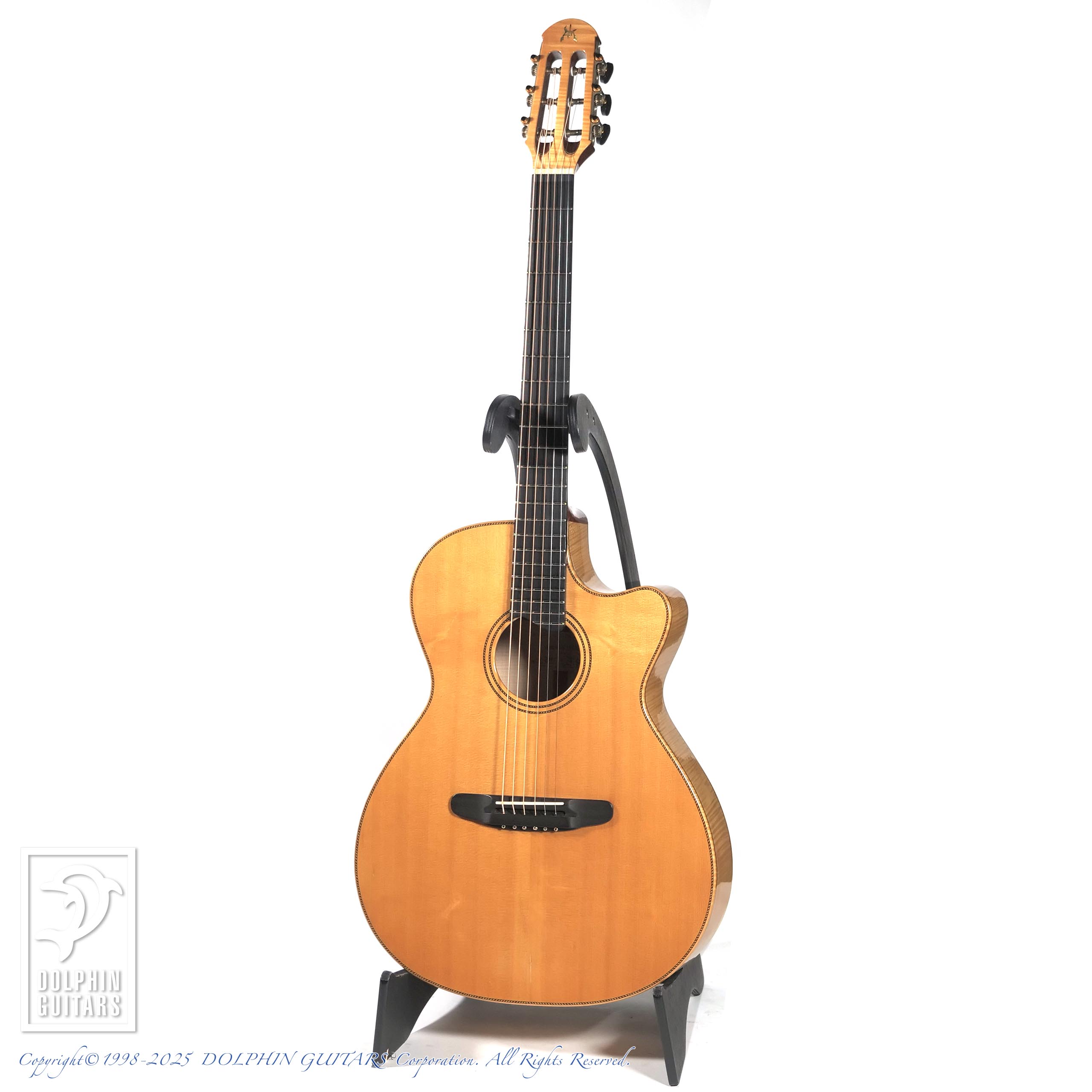 ブルーミファイOG 016セロージア・テラリウム6