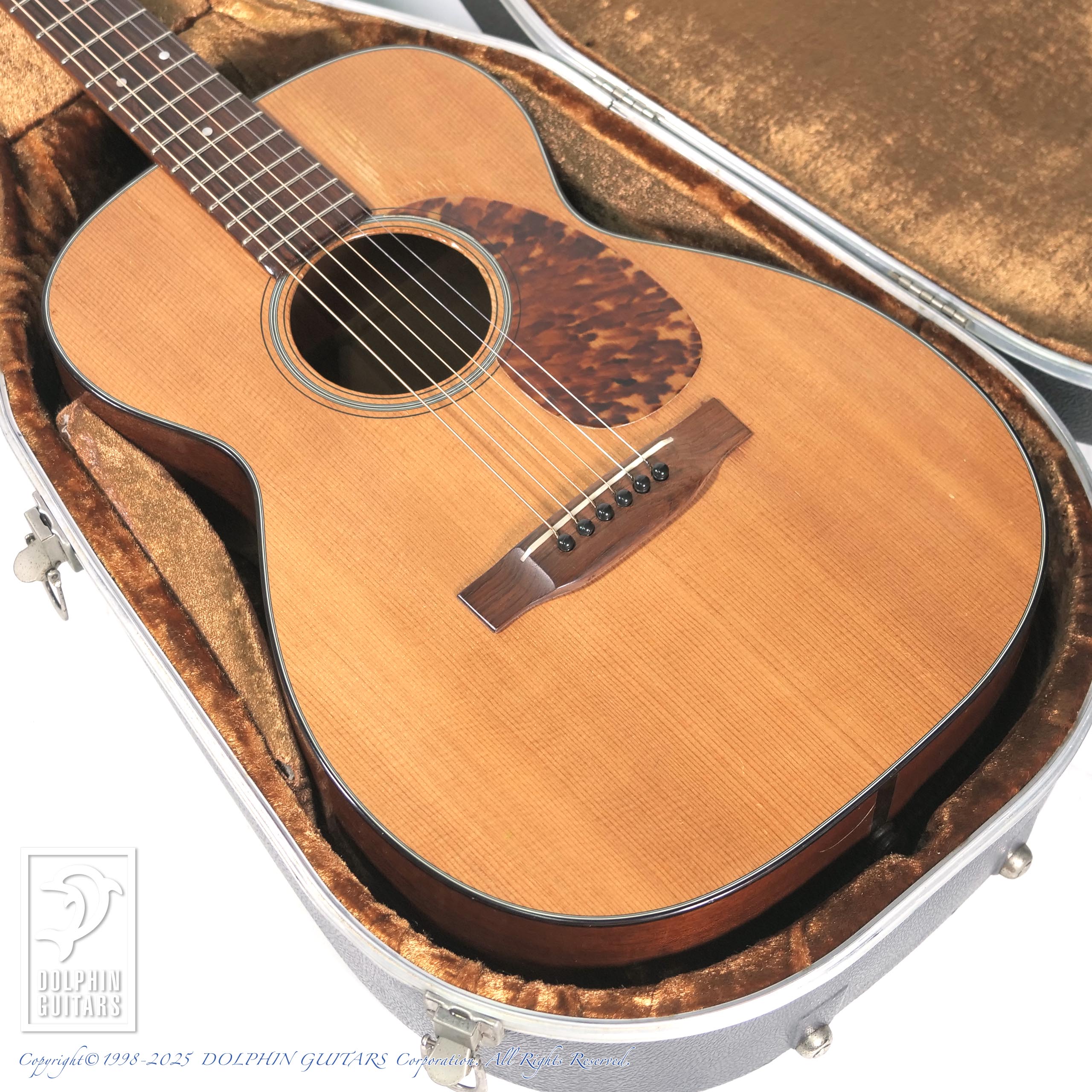 C.F. Martin & Co. DM アコースティックギター Martin DM マーチン 【 そよら成田ニュータウン店 】 | 島村楽器