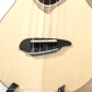 VT5-CW (Engelmann Spruce / Birdseye Maple) 10