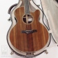 F-Cutaway (Sinker Redwood)9