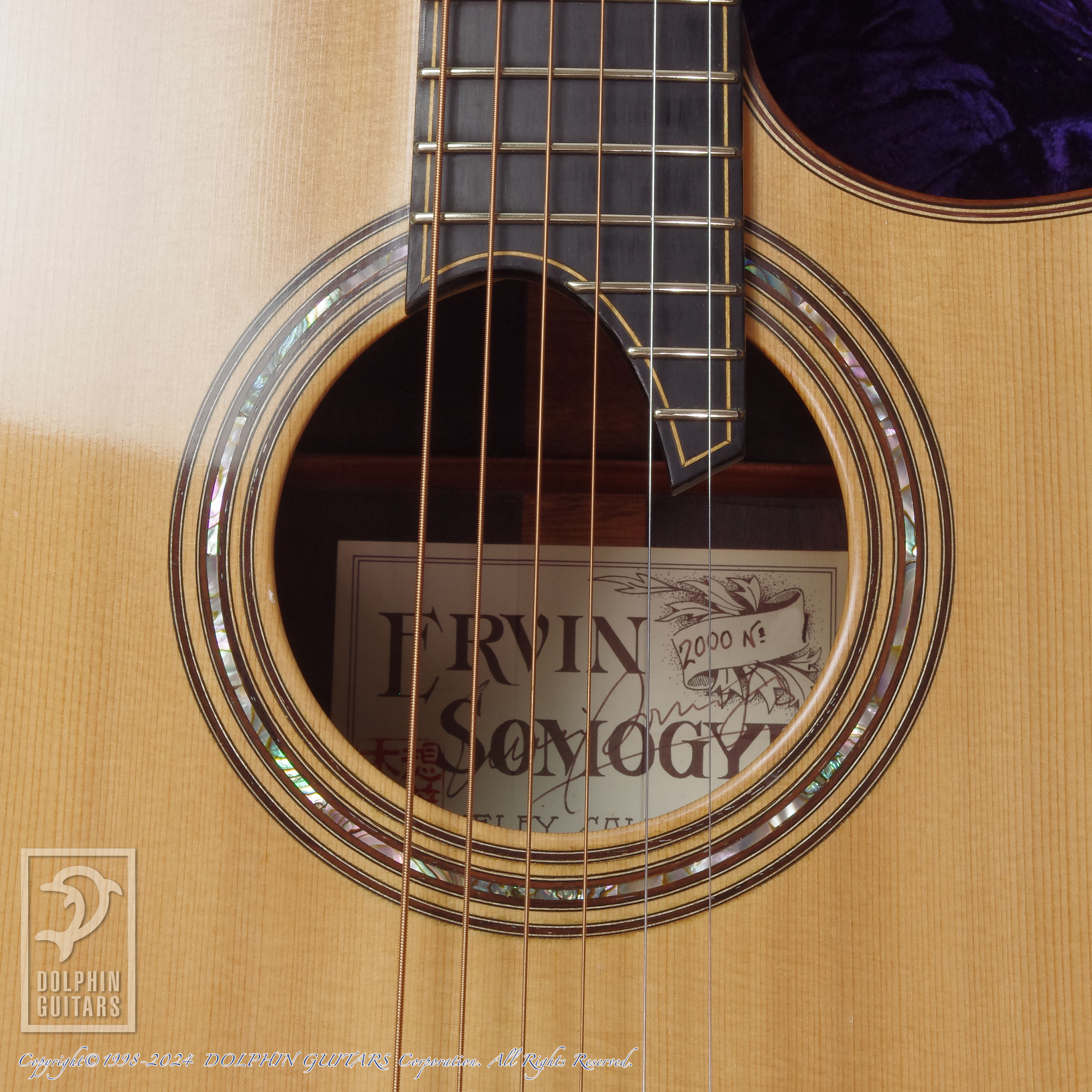 ERVIN V SOMOGYI 00-12F Cutaway (Jacaranda)|ドルフィンギターズ