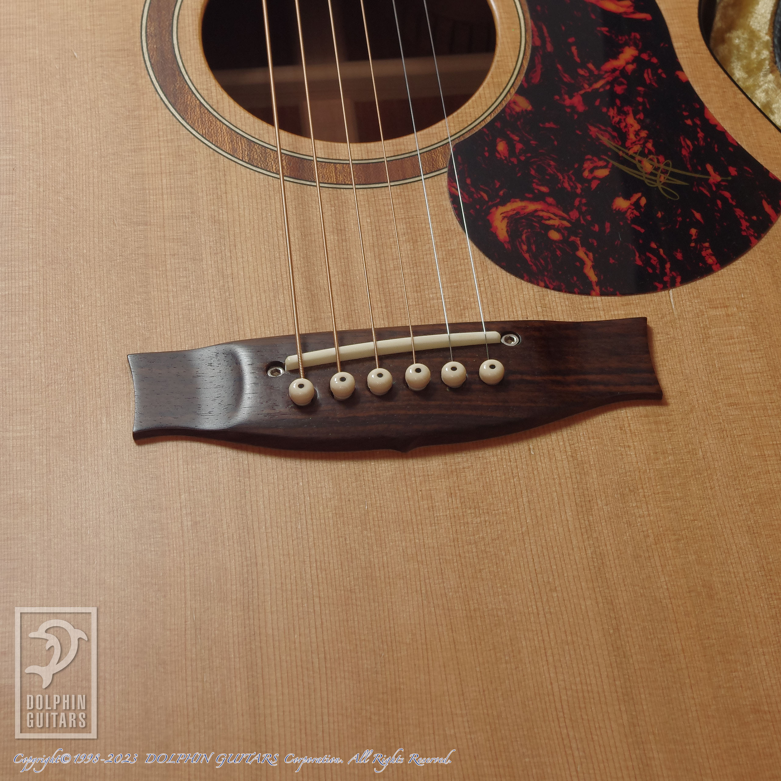 SEGOVIAN GUITAR アコースティックギター スプルース 6弦 SEGOVIAN GUITAR アコースティックギター スプルース 6弦 SEGOVIAN