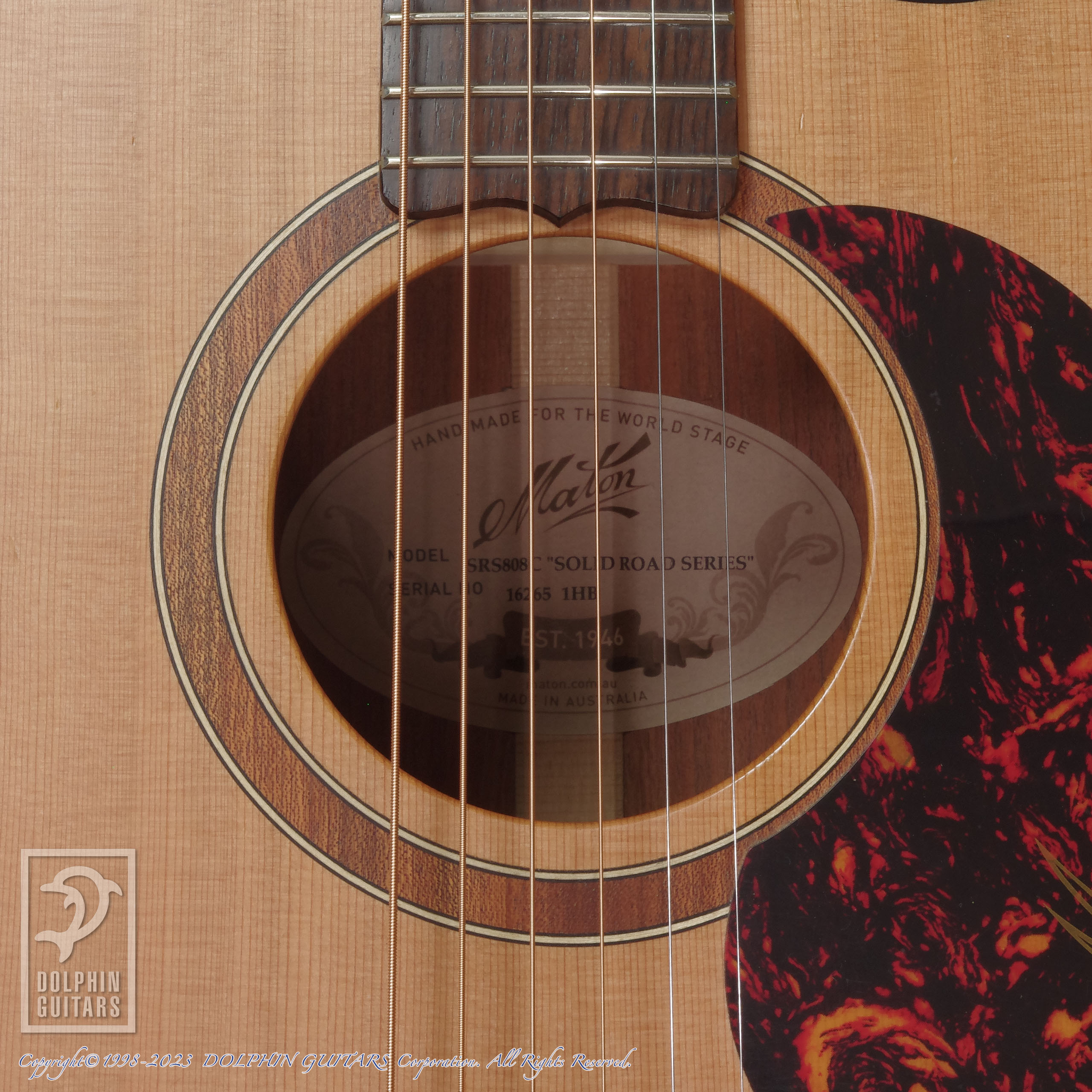 MATON SRS808C|ドルフィンギターズ
