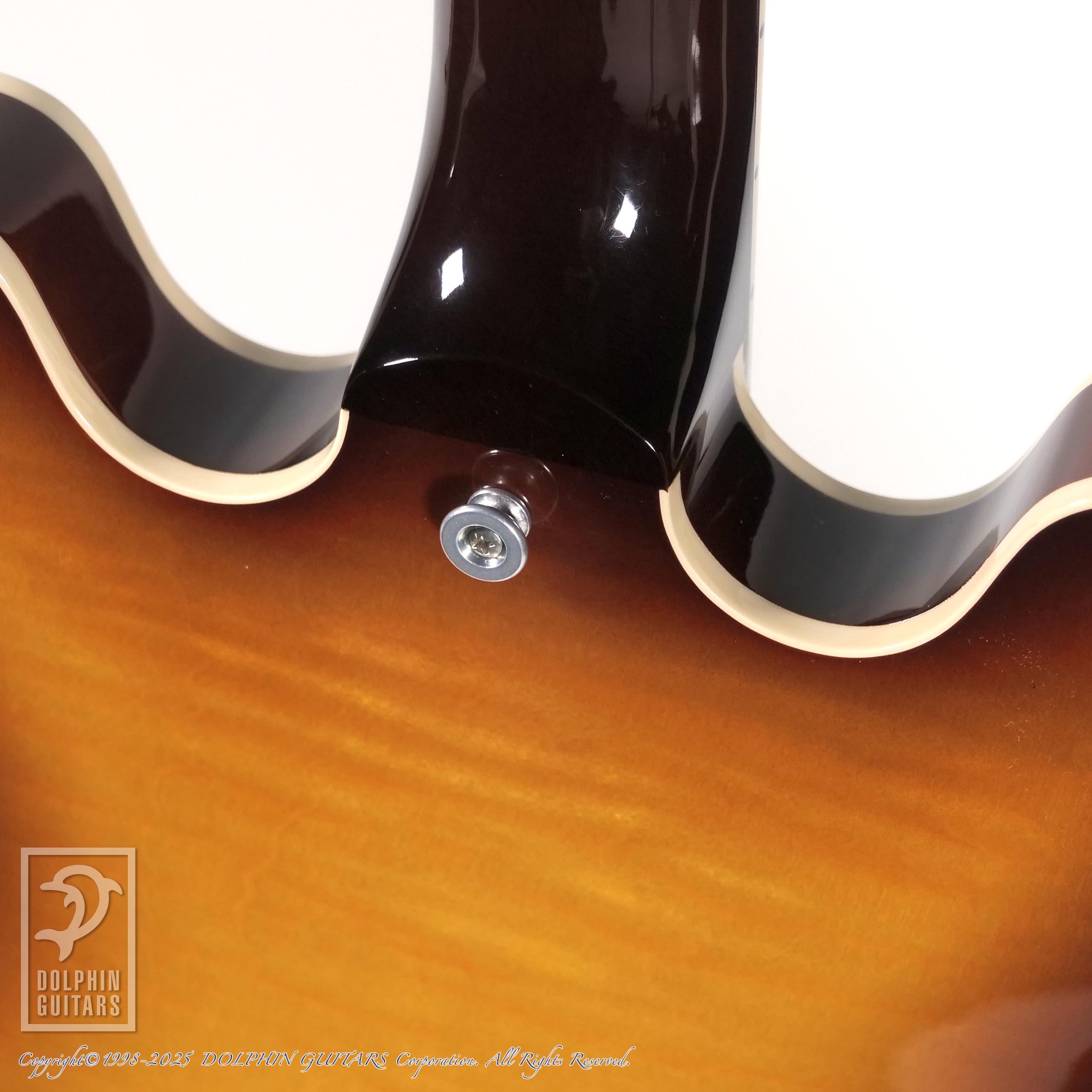 Gibson ES-335 Figured|ドルフィンギターズ