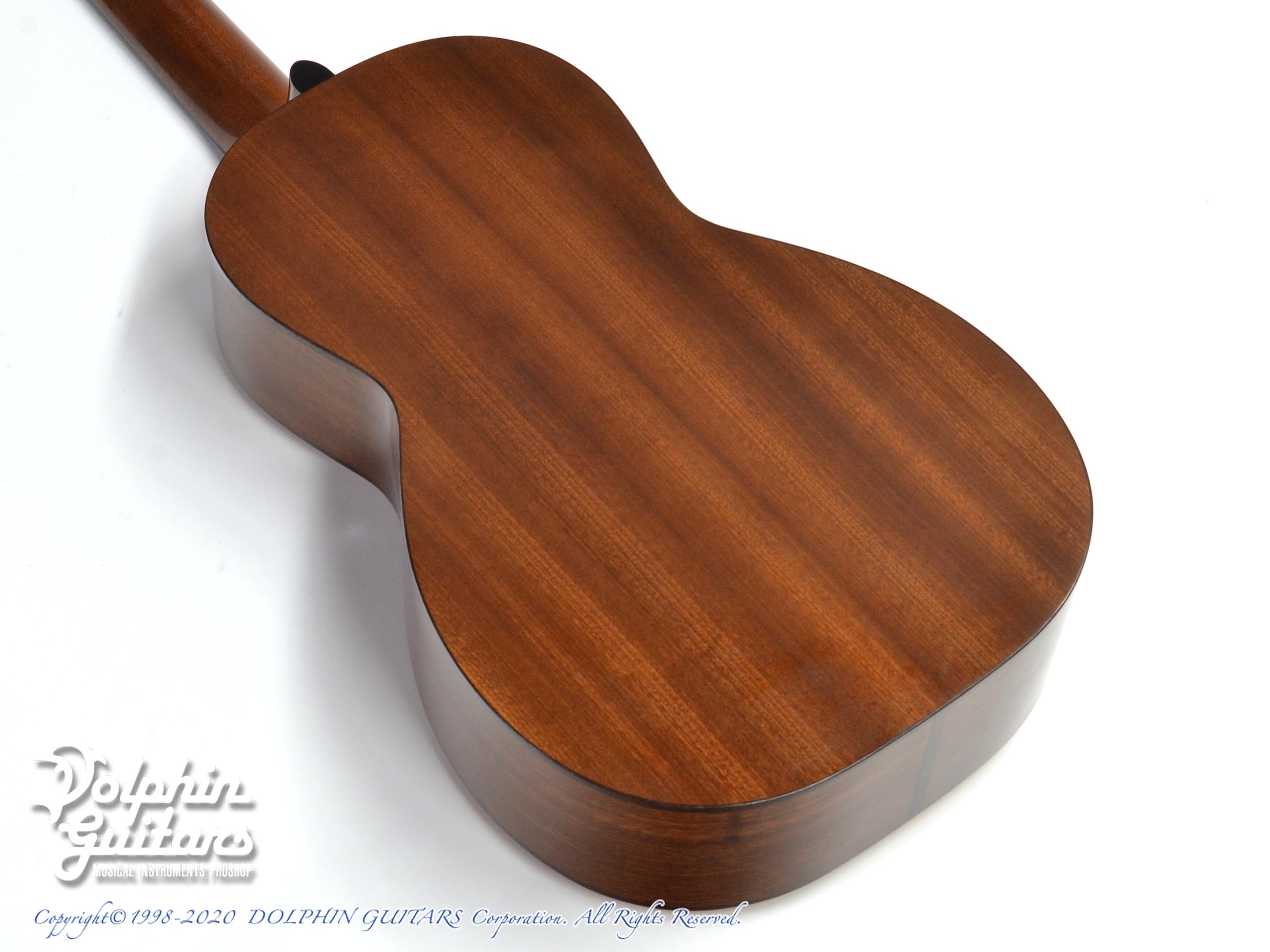 IINUMA GUITARS Model-2|ドルフィンギターズ