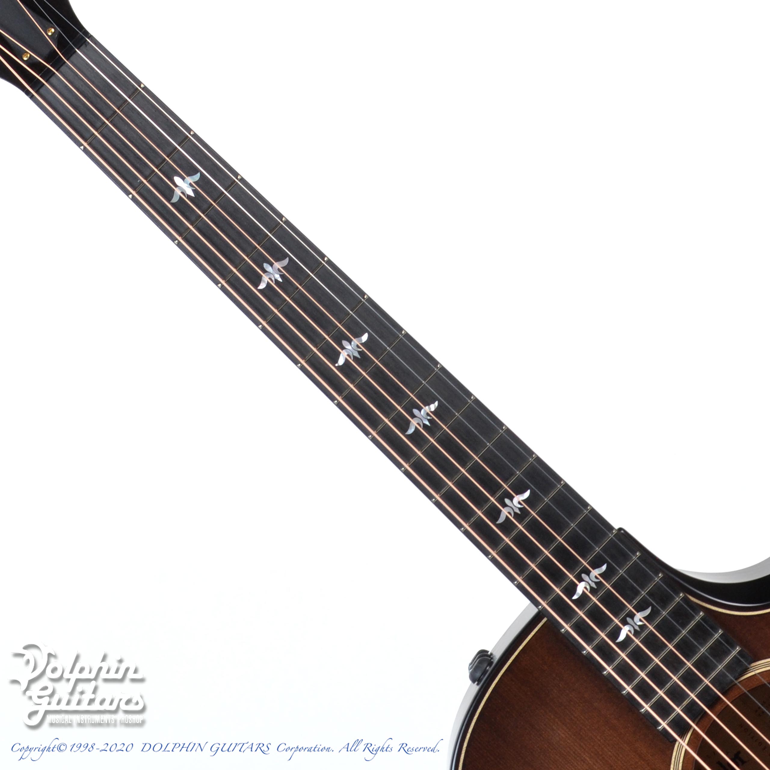 TAYLOR Builder's Edition 614ce V-Class (WHB)|ドルフィンギターズ