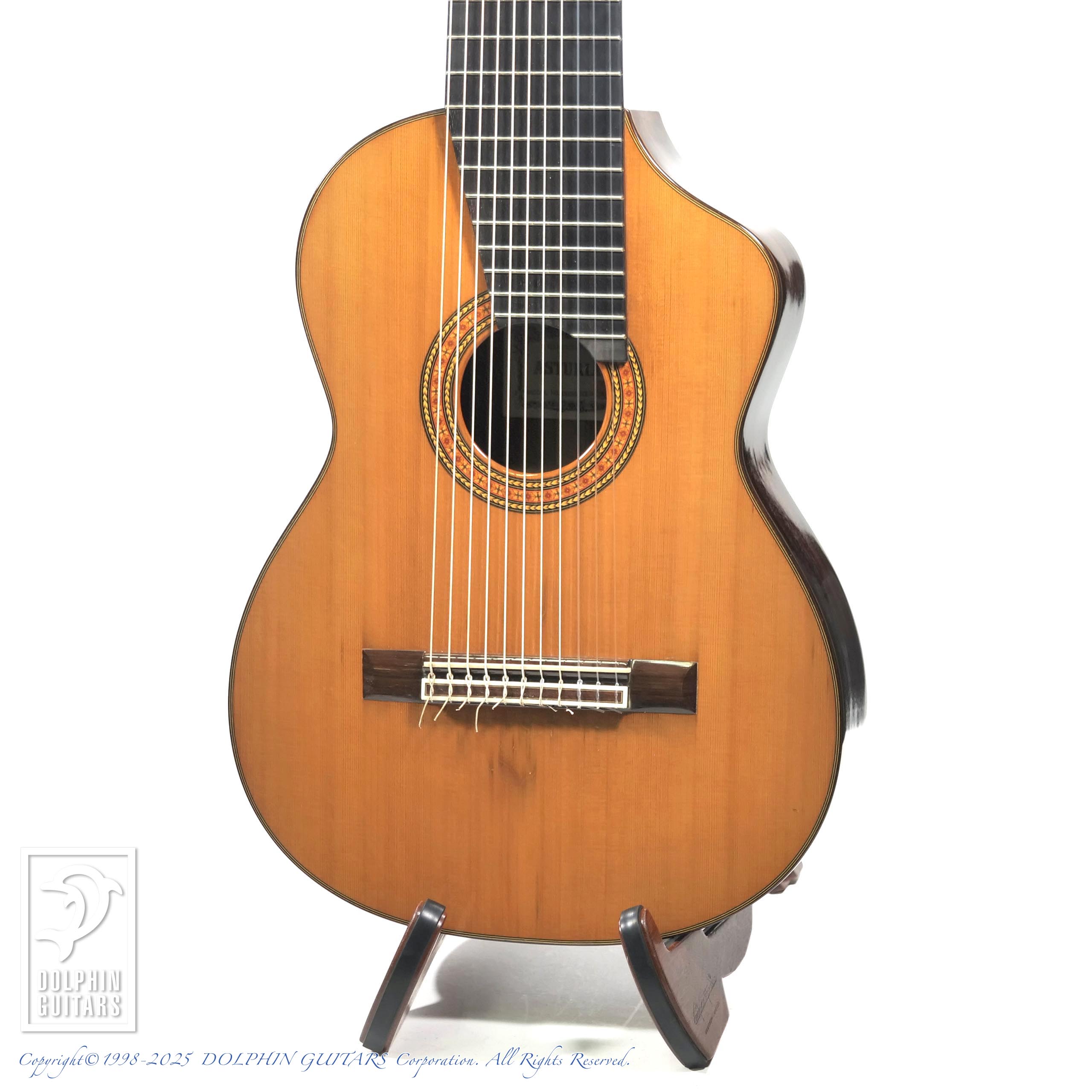 ASTURIAS Renaissance 11-String|ドルフィンギターズ