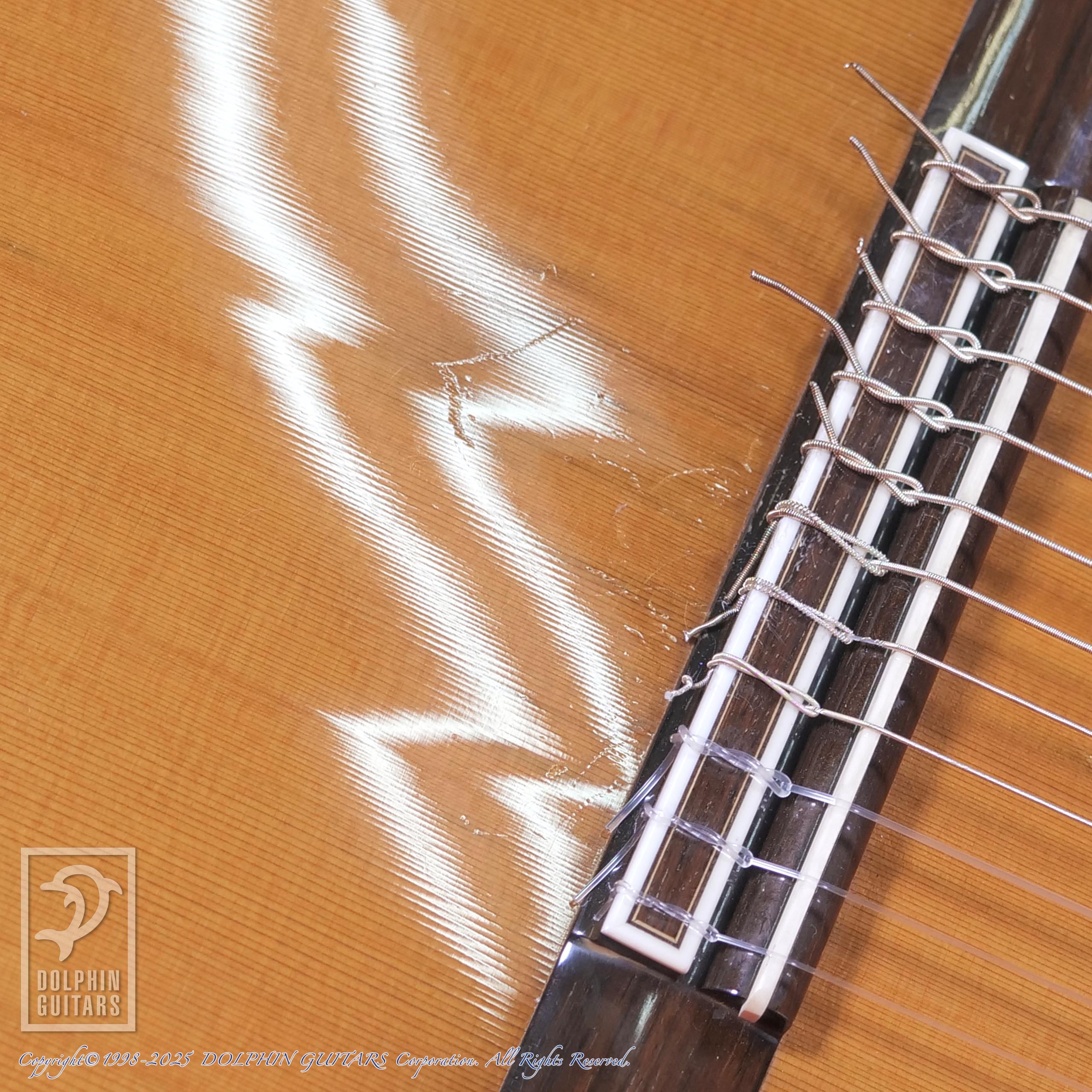 ASTURIAS Renaissance 11-String|ドルフィンギターズ