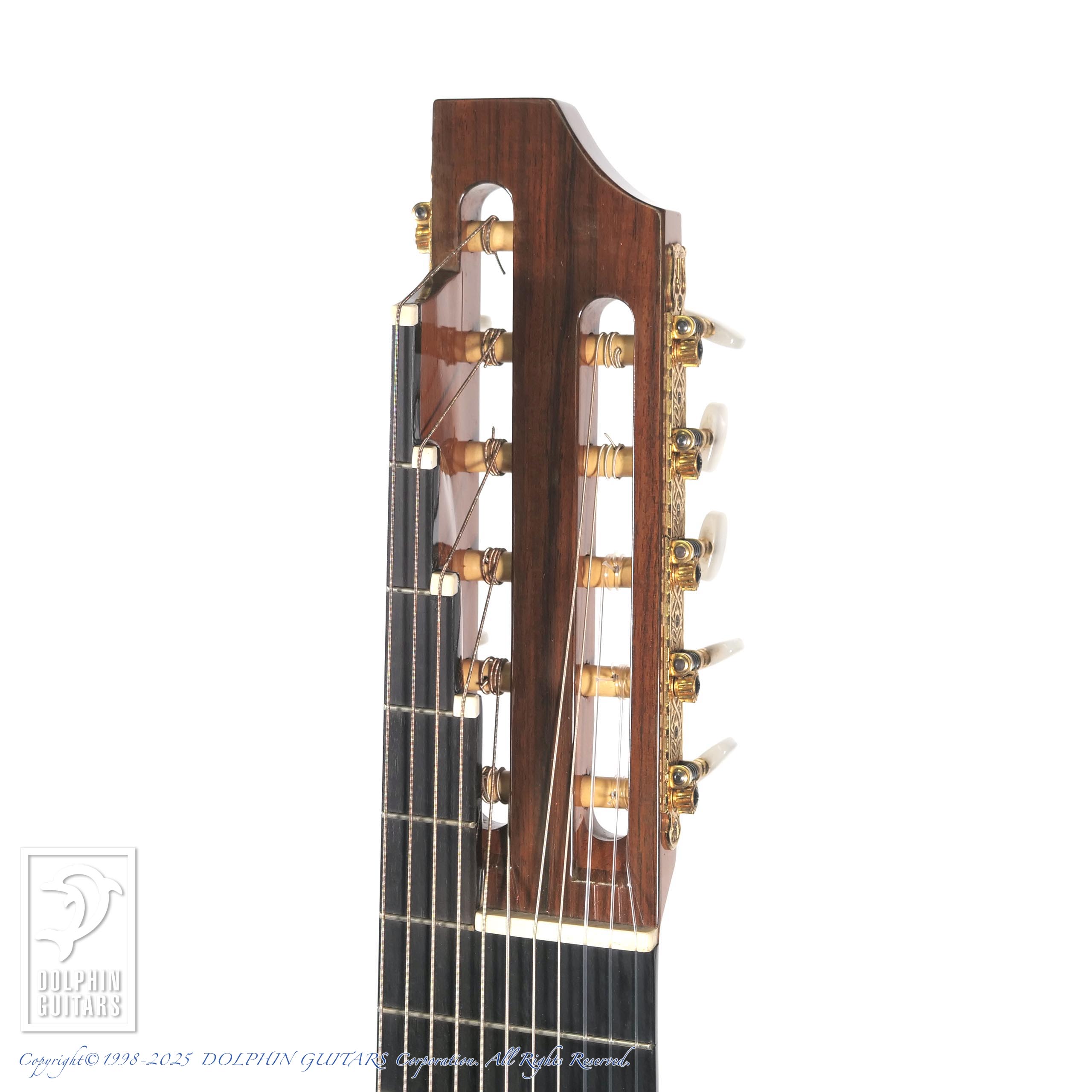 ギター ASTURIAS RENAISSANCE S ASTURIAS Renaissance S（新品/送料無料）【楽器検索デジマート】