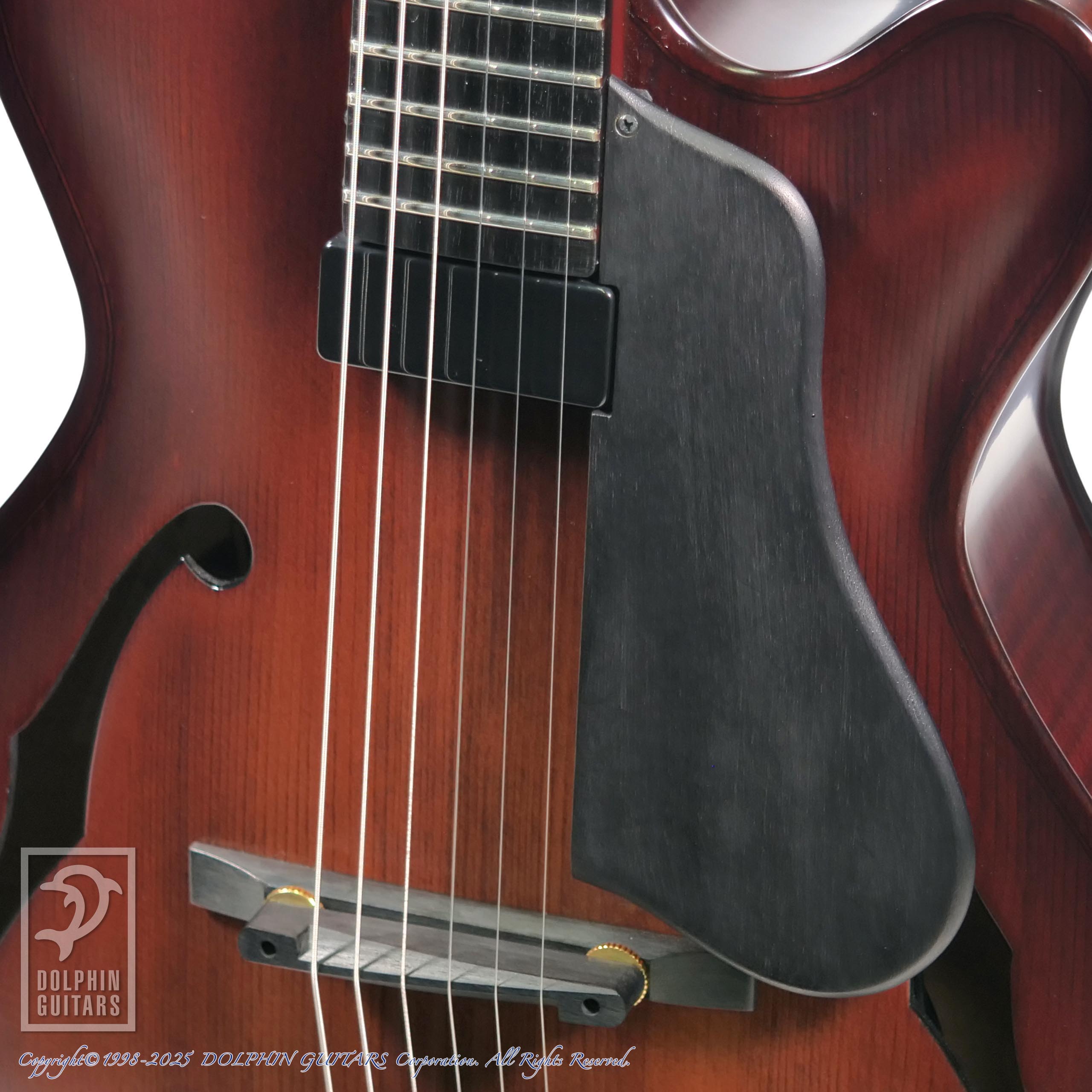 LANDSCAPE AR-201|ドルフィンギターズ