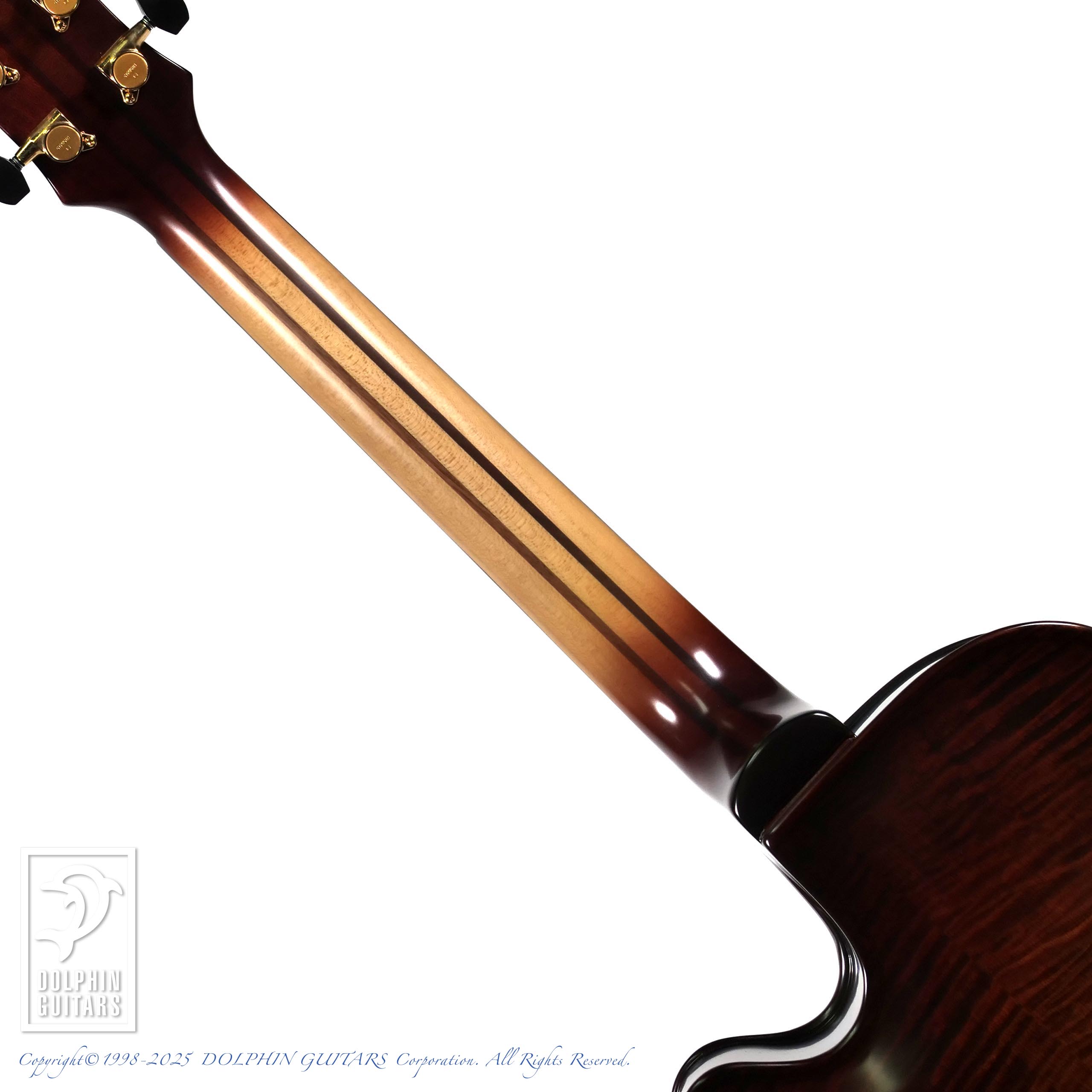 LANDSCAPE AR-201|ドルフィンギターズ