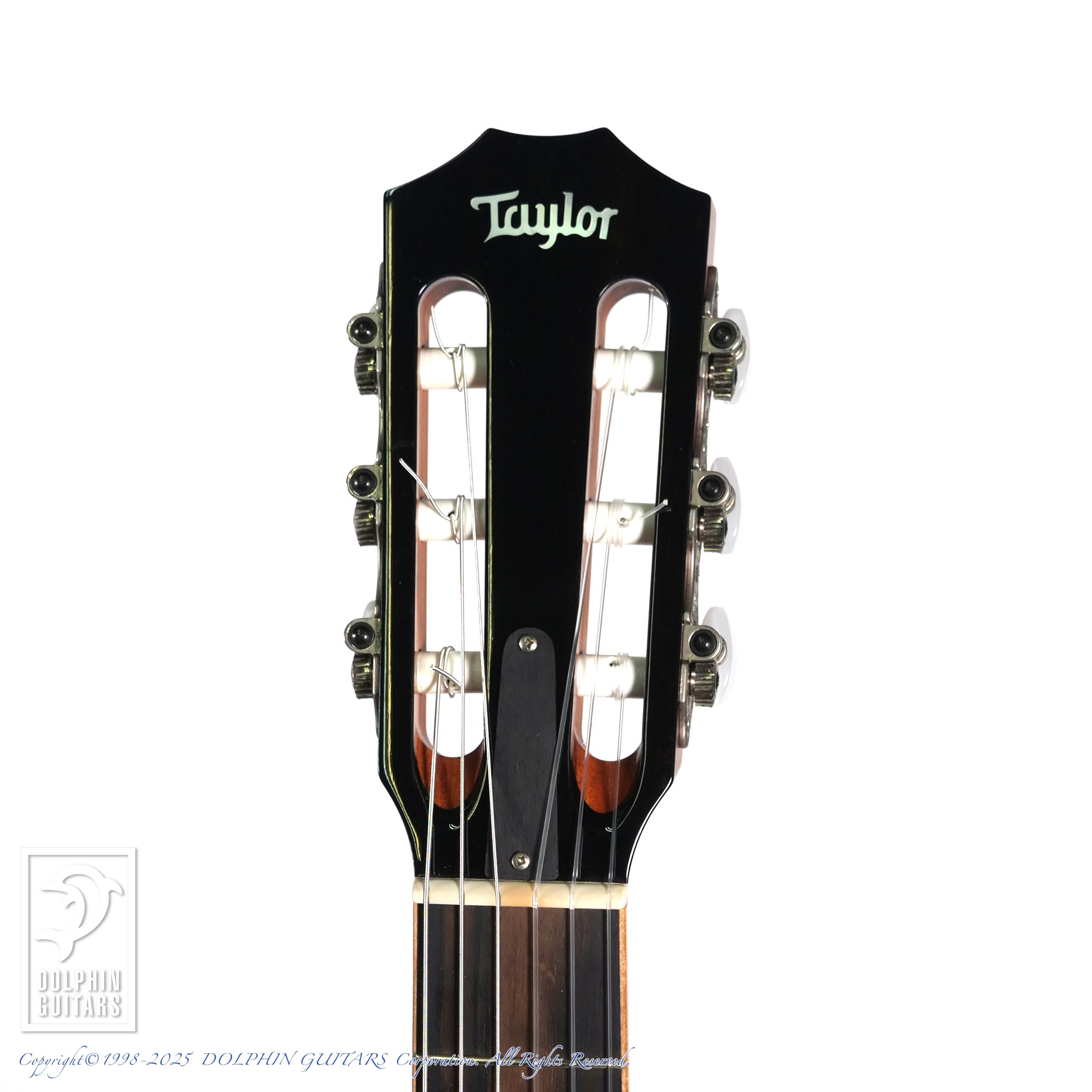 TAYLOR 812ce-N|ドルフィンギターズ