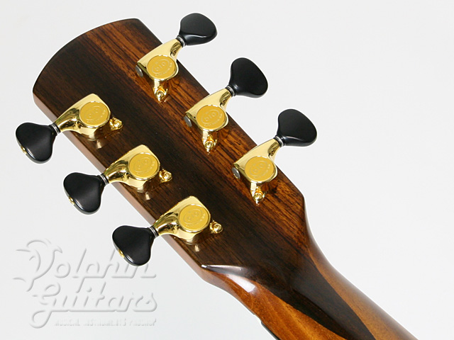 NK FORSTER GUITARS Model-C|ドルフィンギターズ