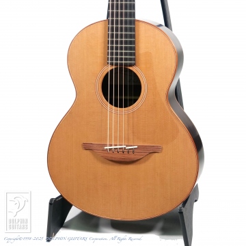 178 The Wee Lowden WL-25 IR/RC