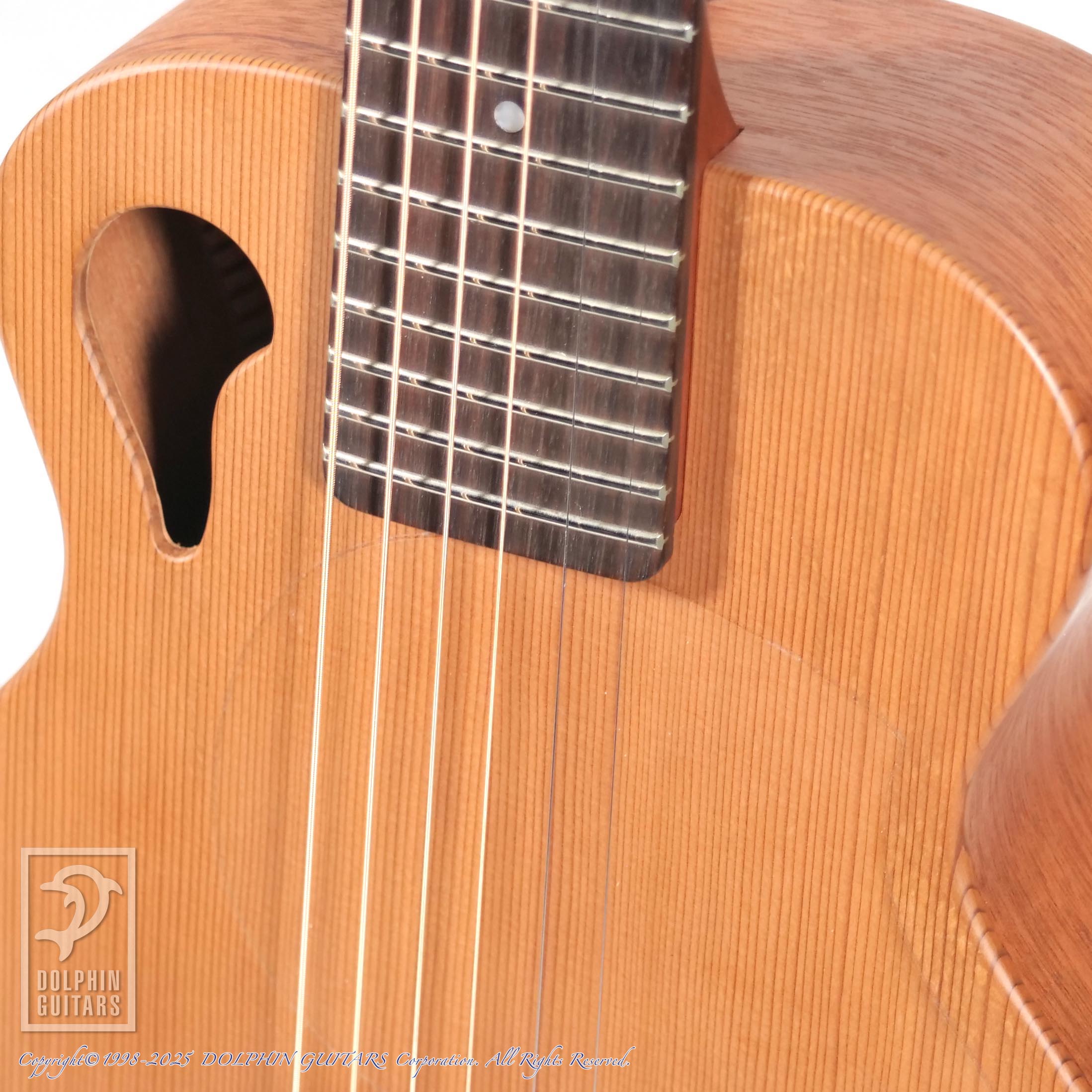 TACOMA P-1|ドルフィンギターズ