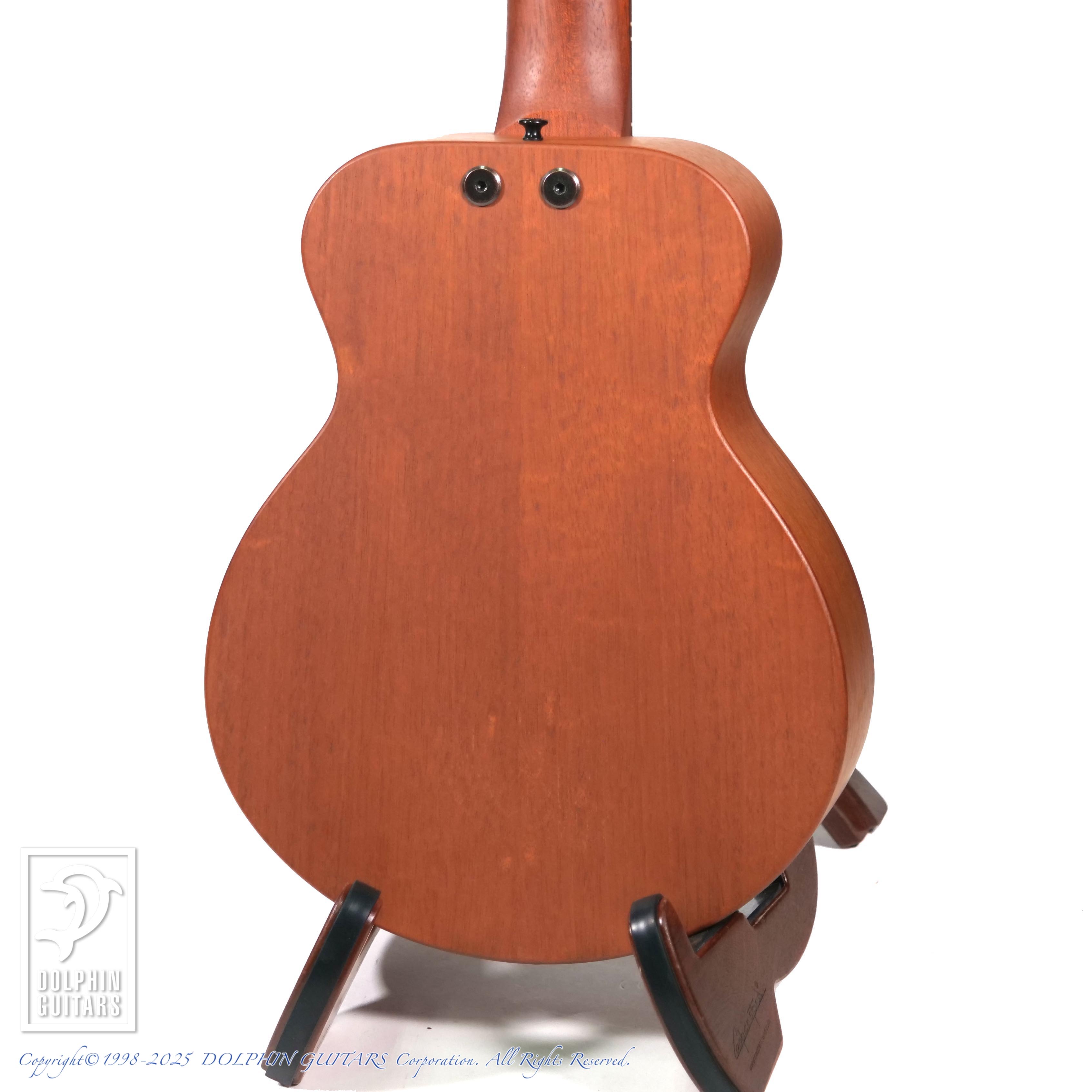 TACOMA P-1|ドルフィンギターズ