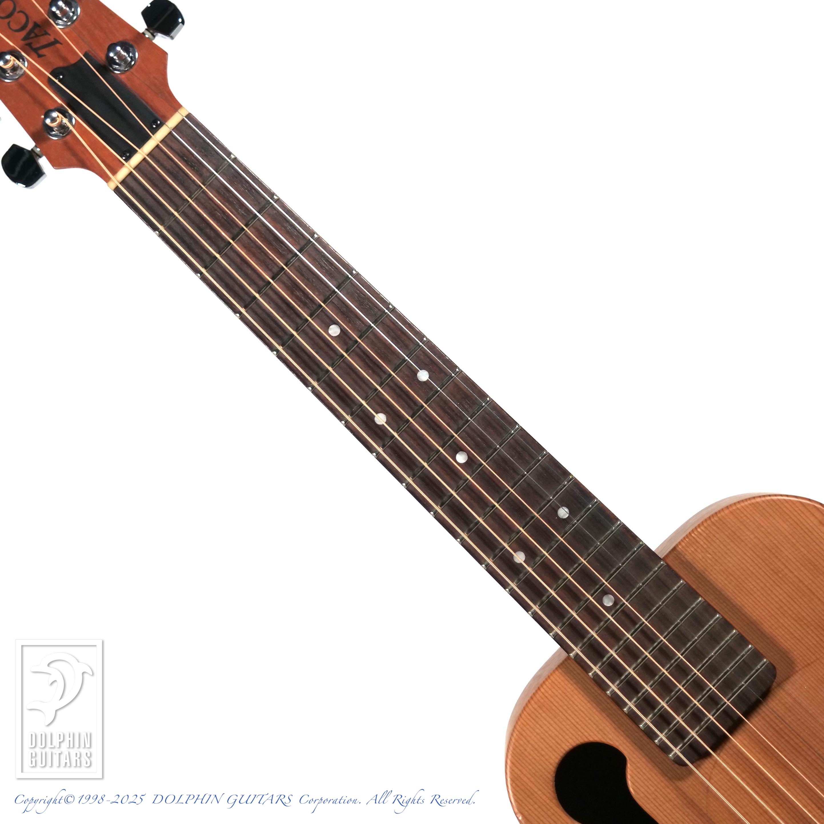 TACOMA P-1|ドルフィンギターズ