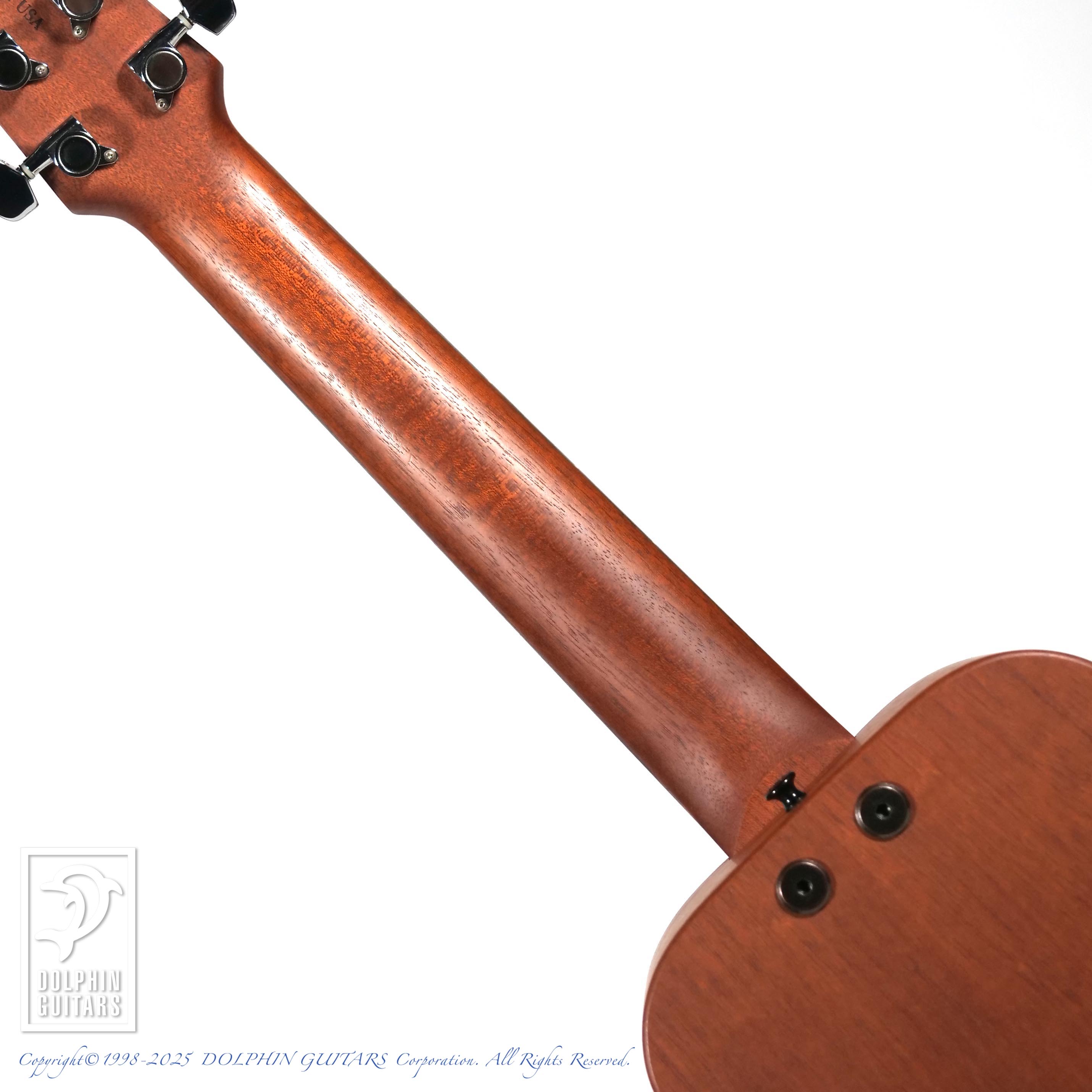 TACOMA P-1|ドルフィンギターズ