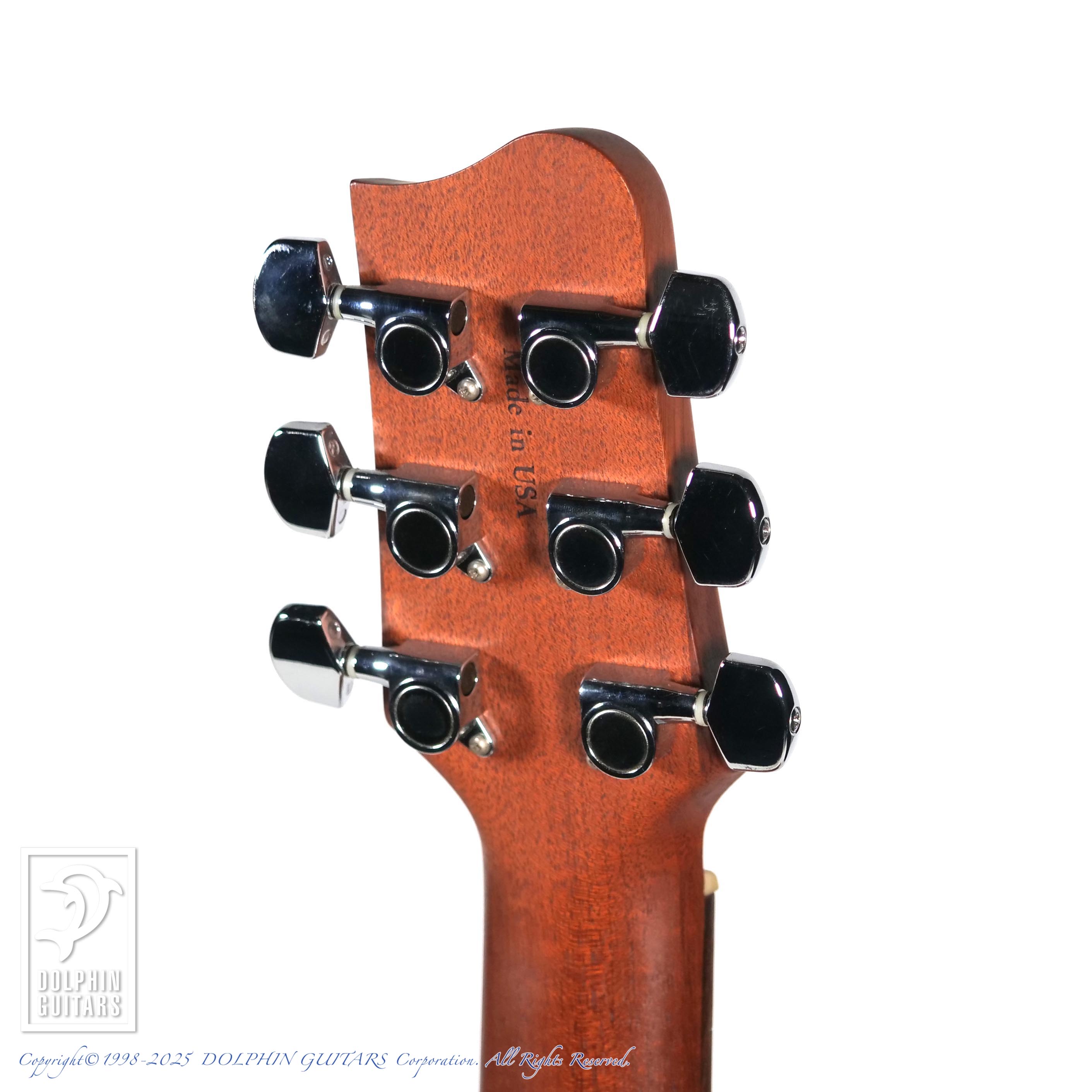 TACOMA P-1|ドルフィンギターズ