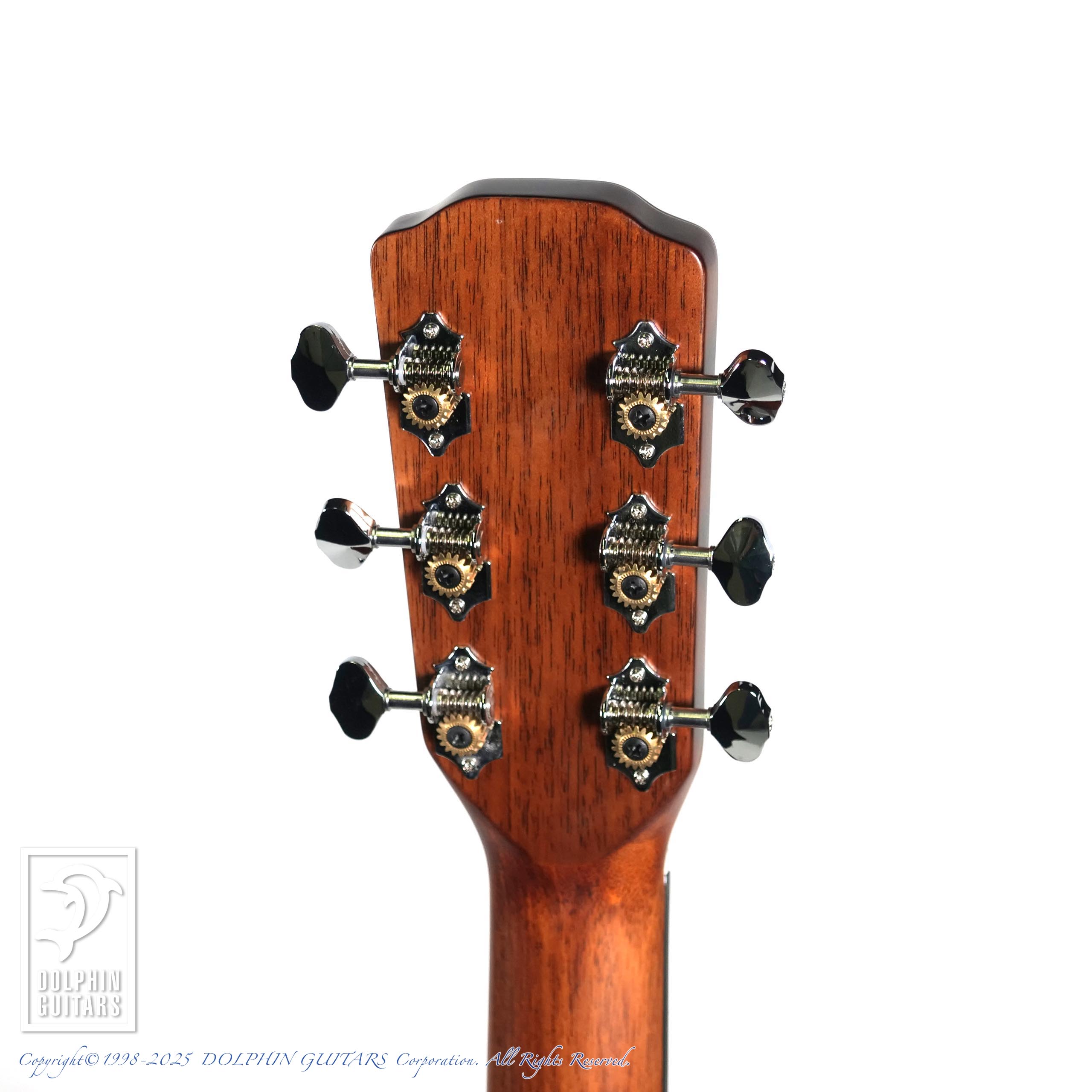 MORRIS F-1 NAT|ドルフィンギターズ