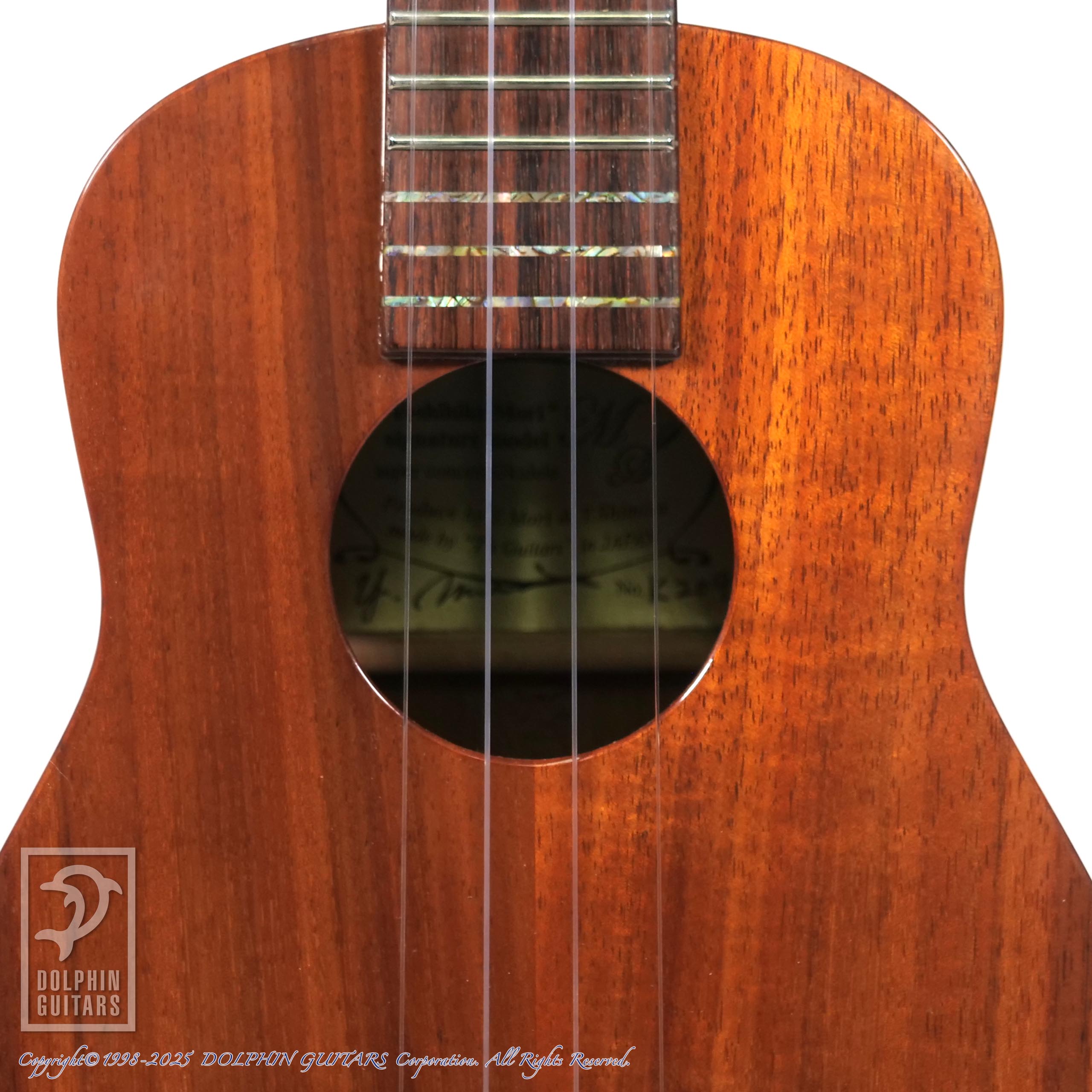 moriさん専用 Yoshihiko Mori Signature Model|ドルフィンギターズ