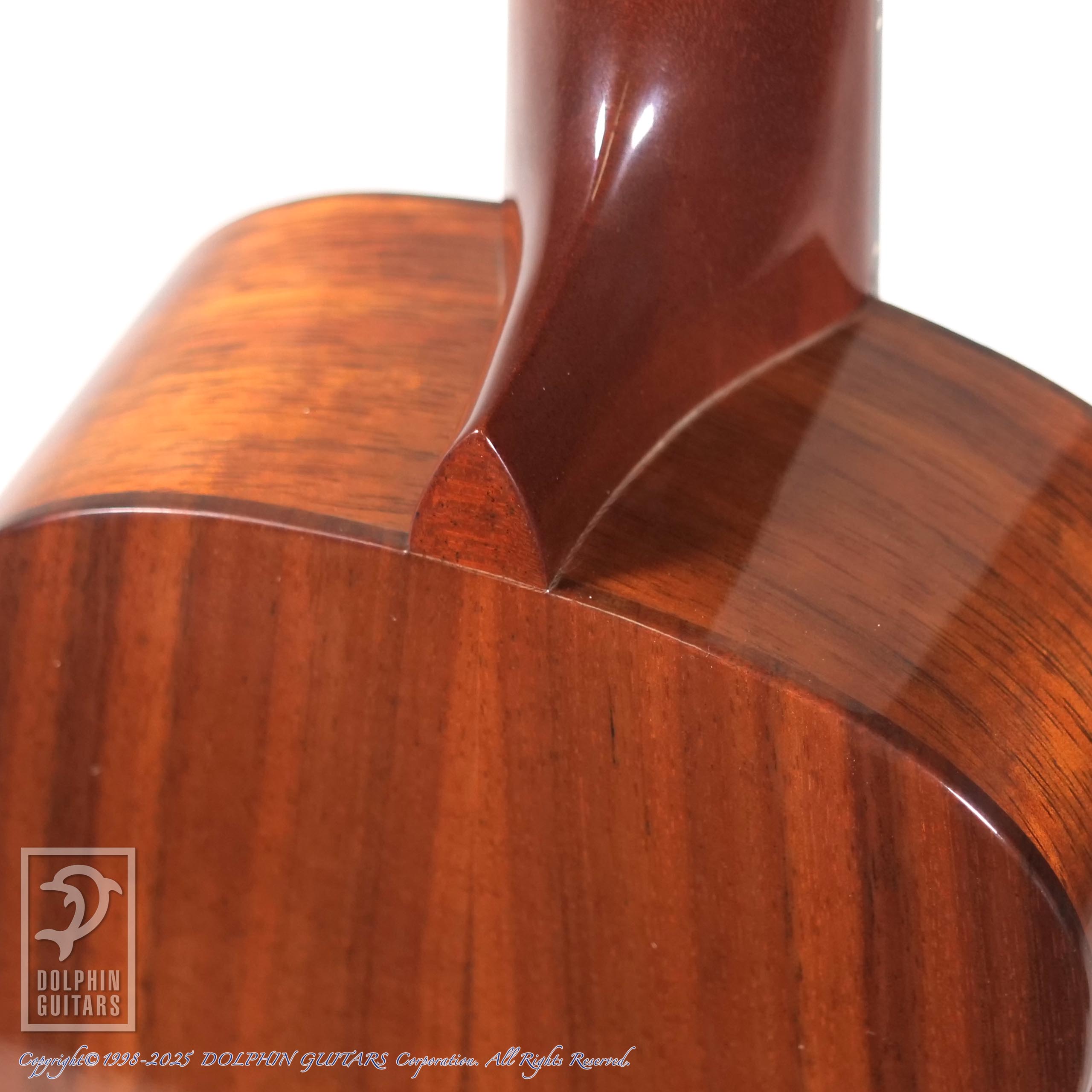 moriさん専用 Yoshihiko Mori Signature Model|ドルフィンギターズ