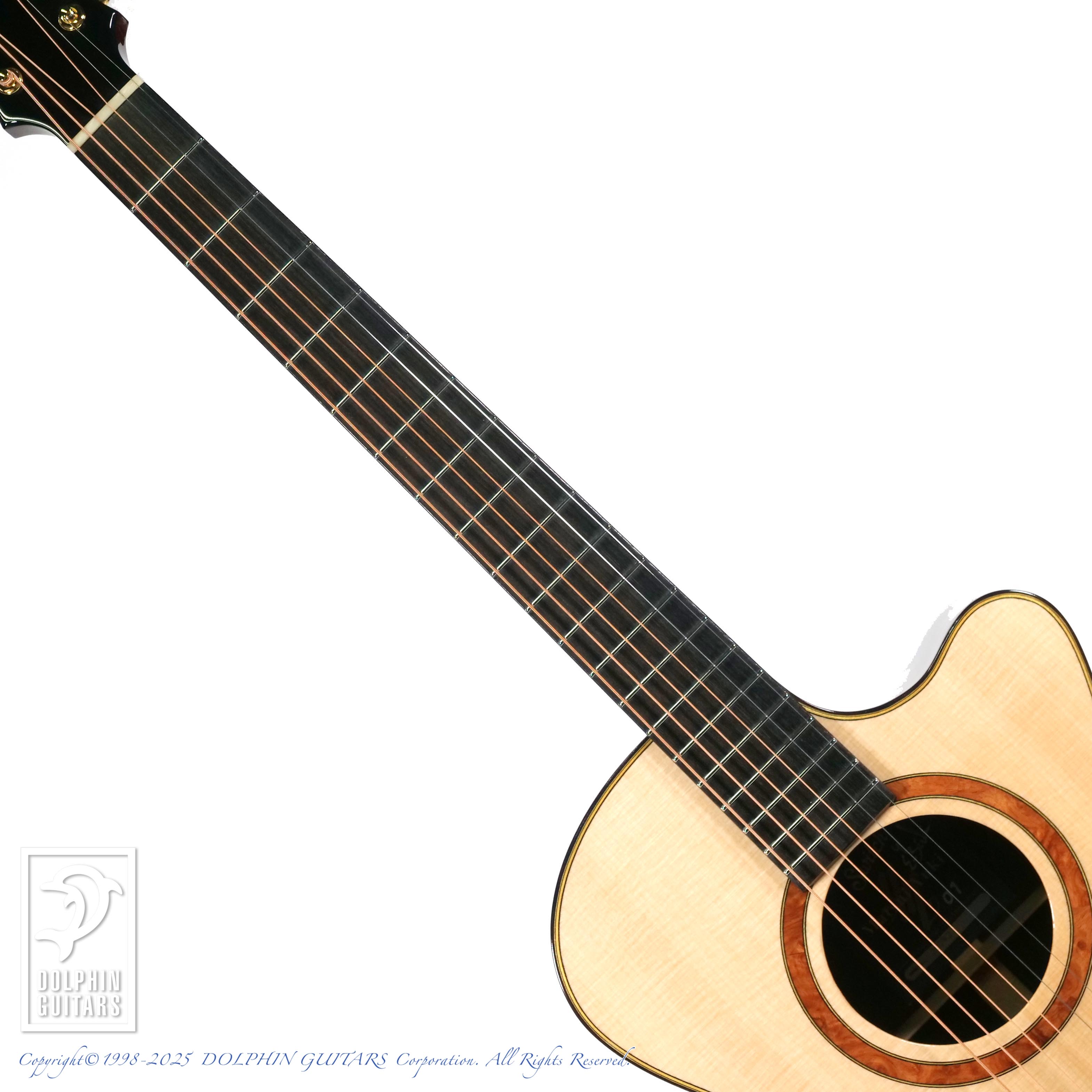 SWITCH Matsui Yuki 15th Anniversary #01|ドルフィンギターズ